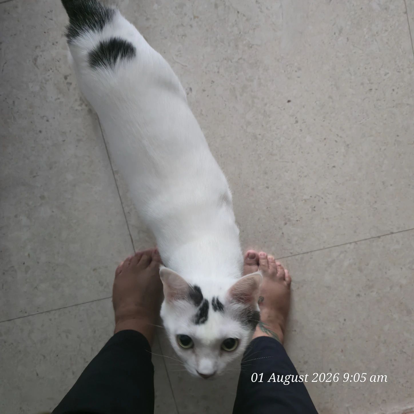 image-12