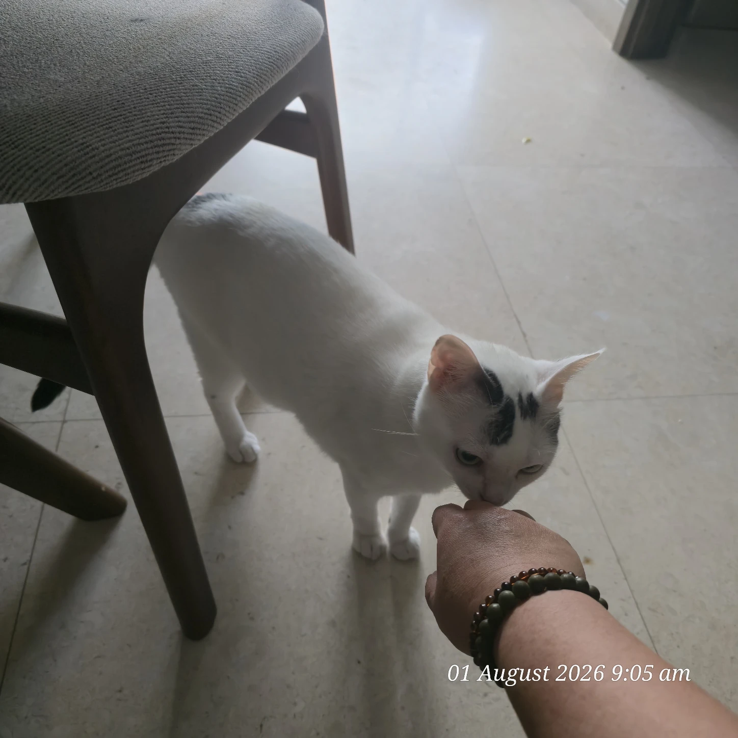 image-13