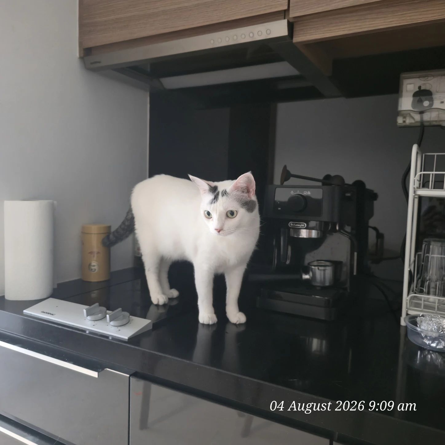 image-16