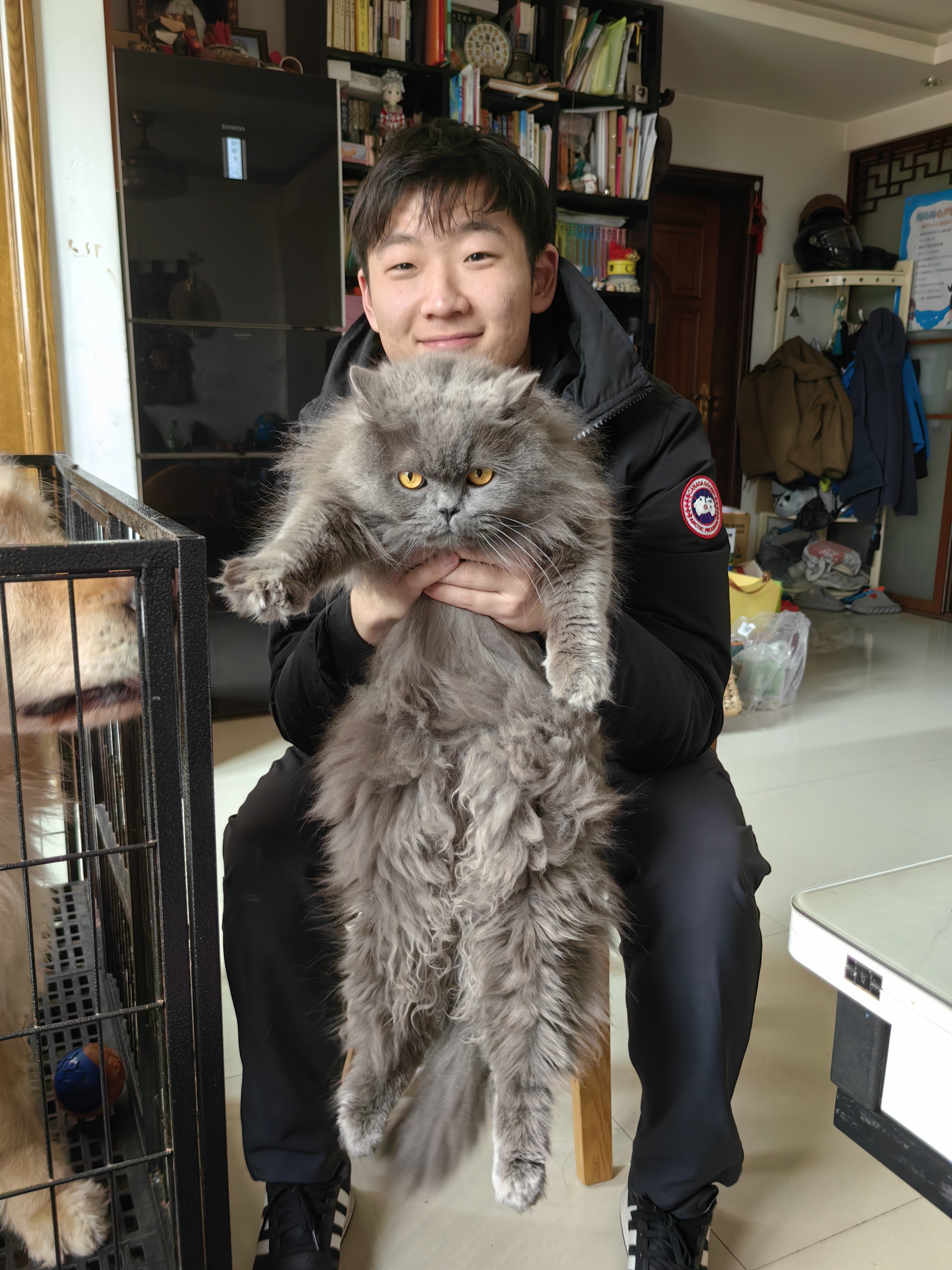 image-5