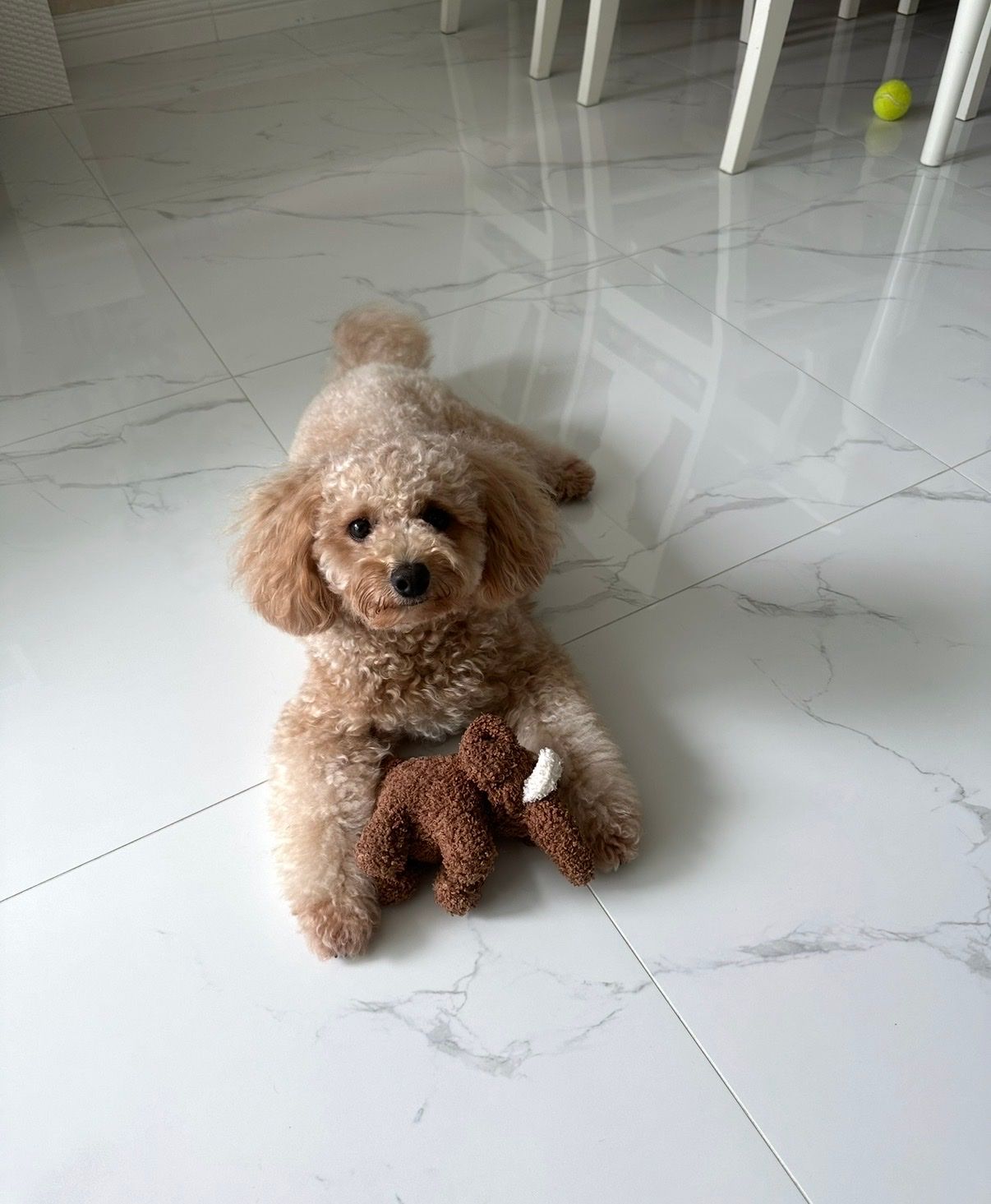 image-8