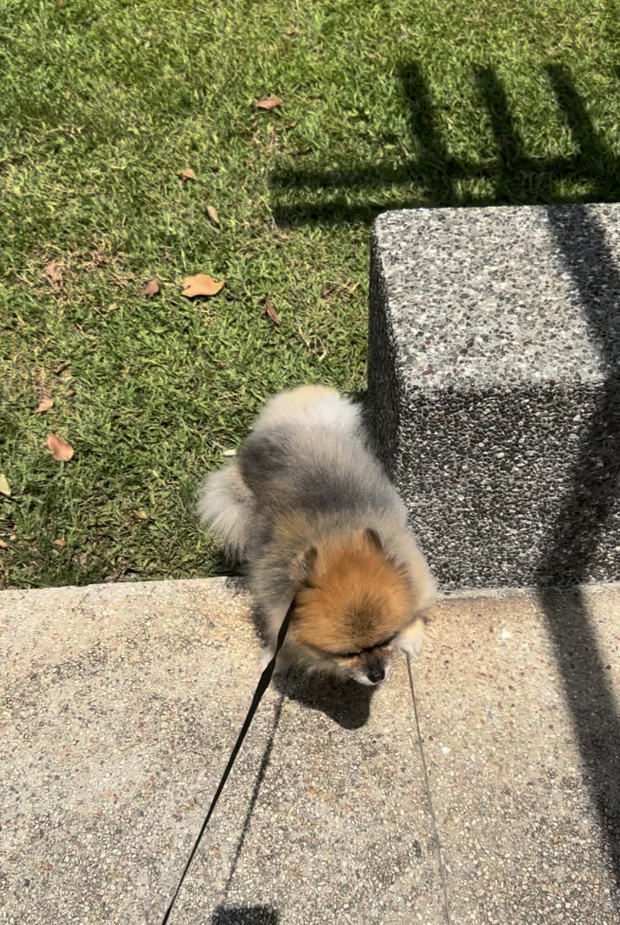 image-12
