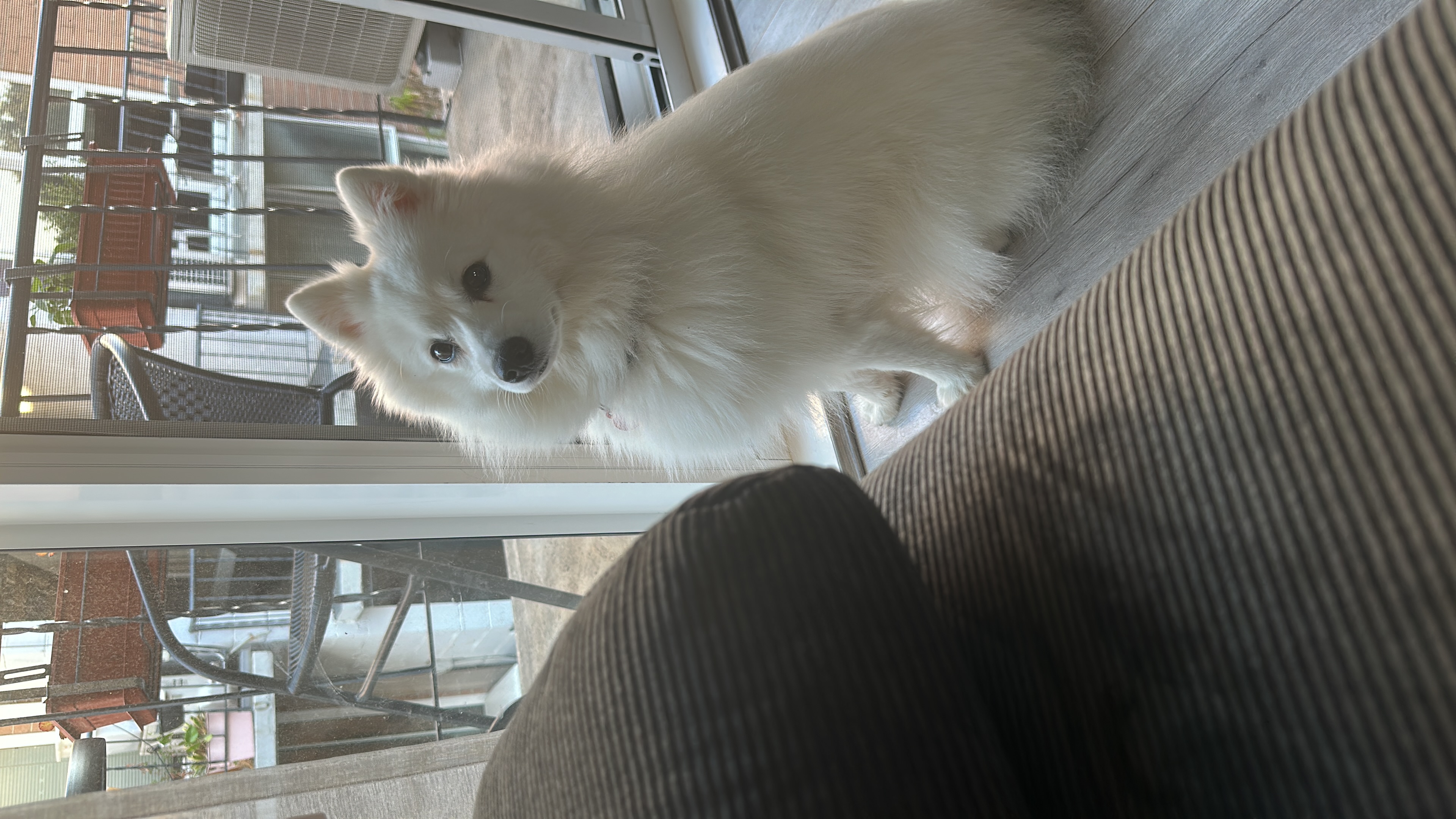 image-8