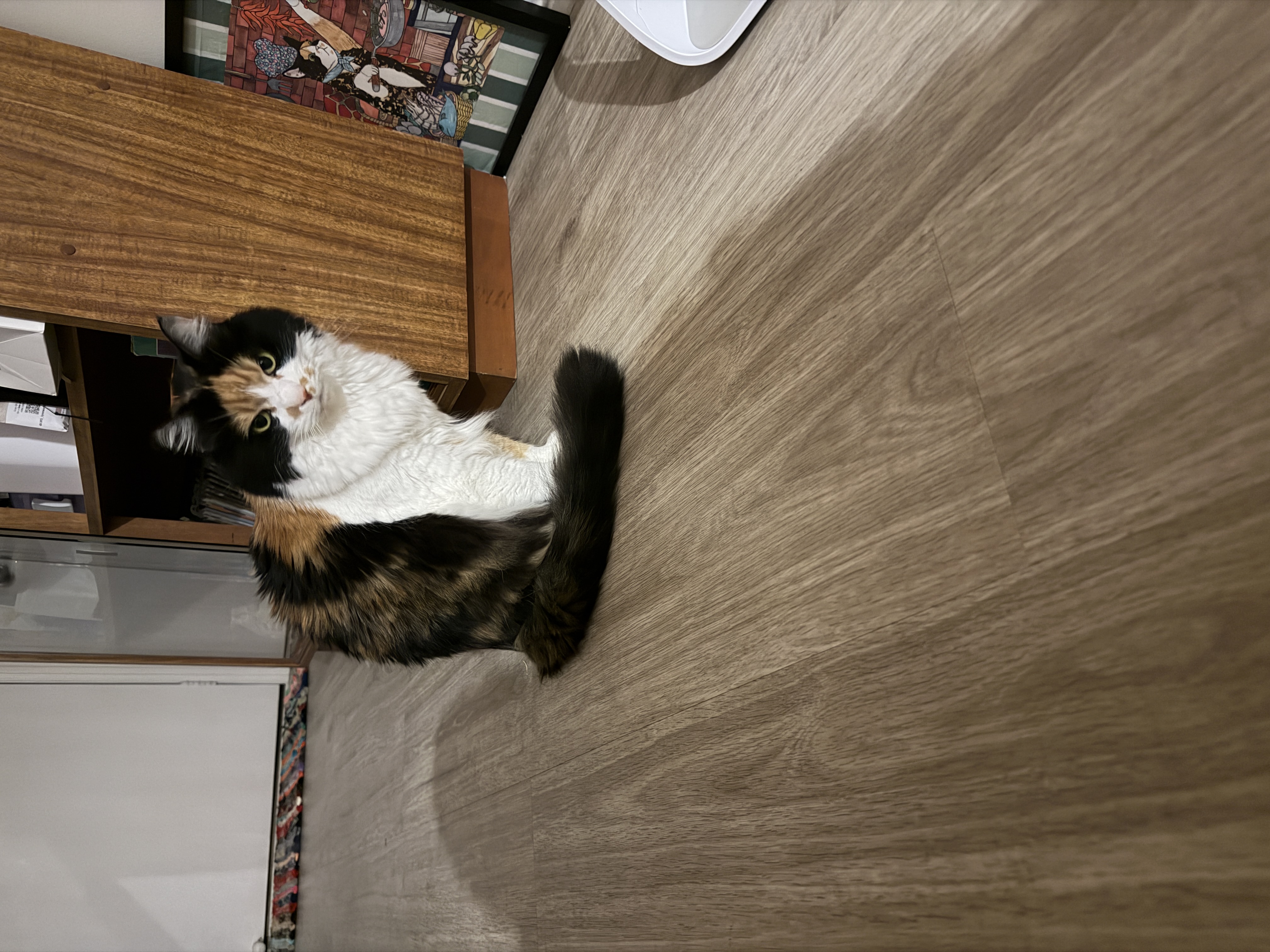 image-11