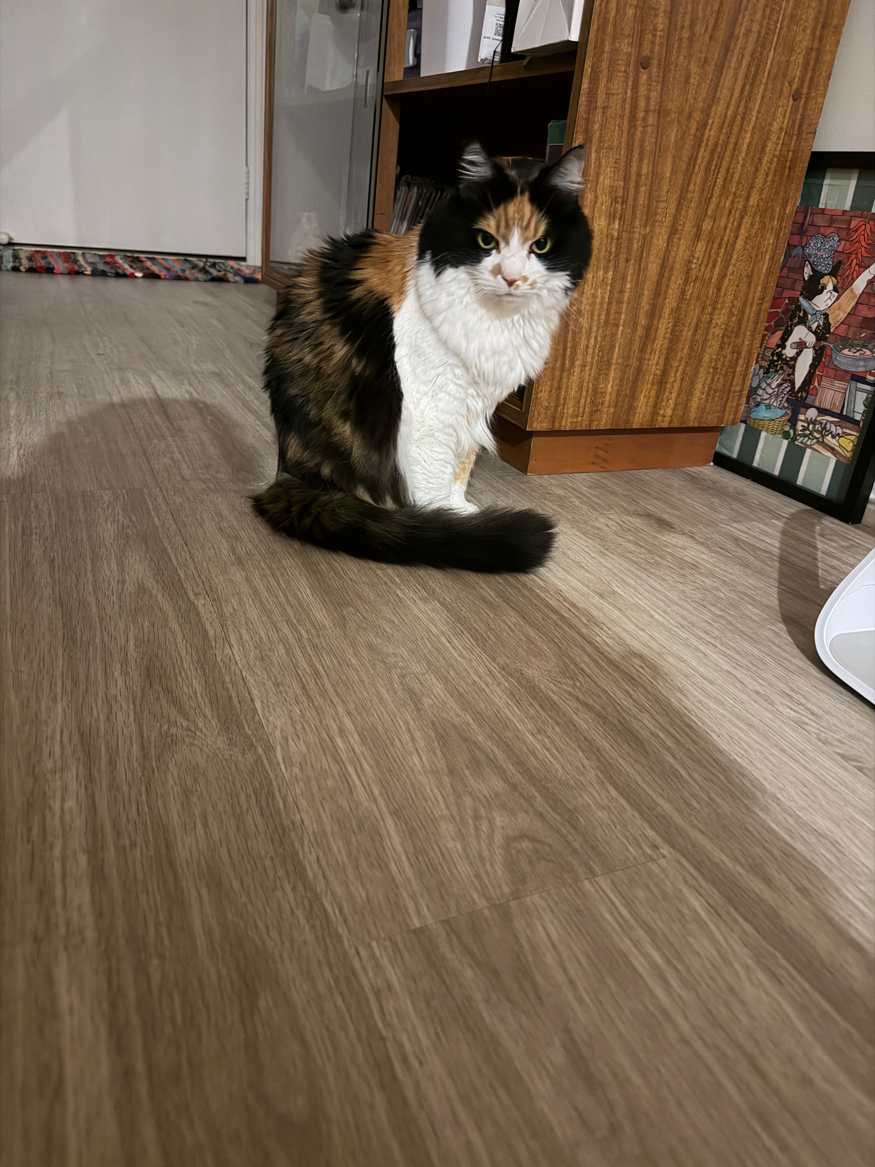 image-11