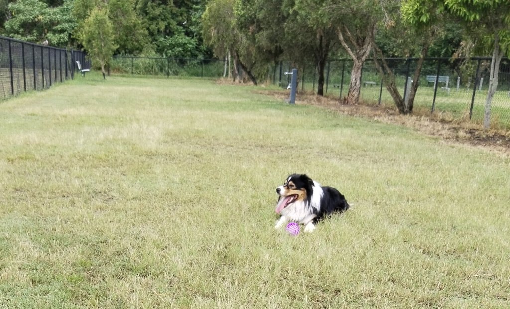 image-2