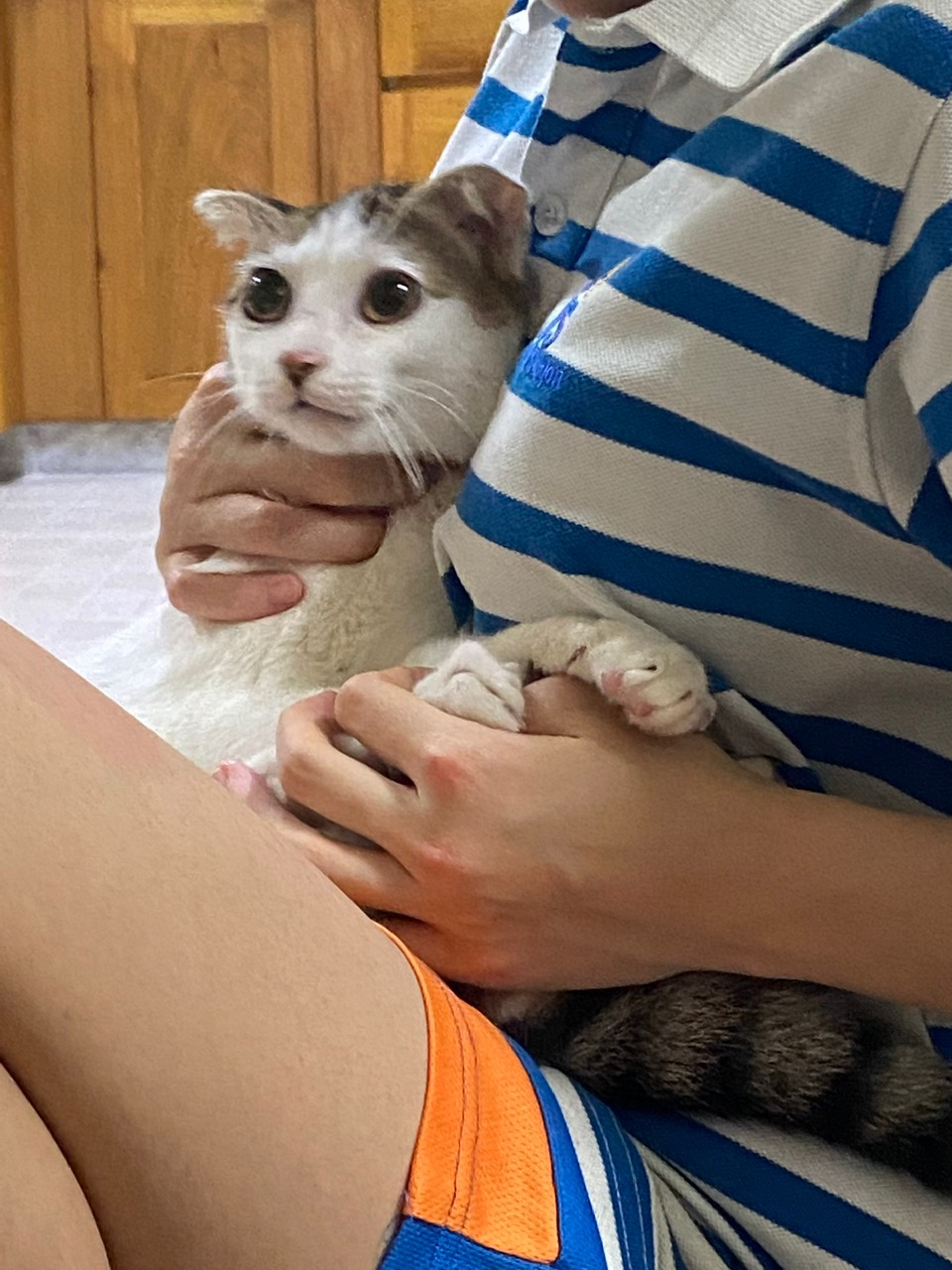 image-10
