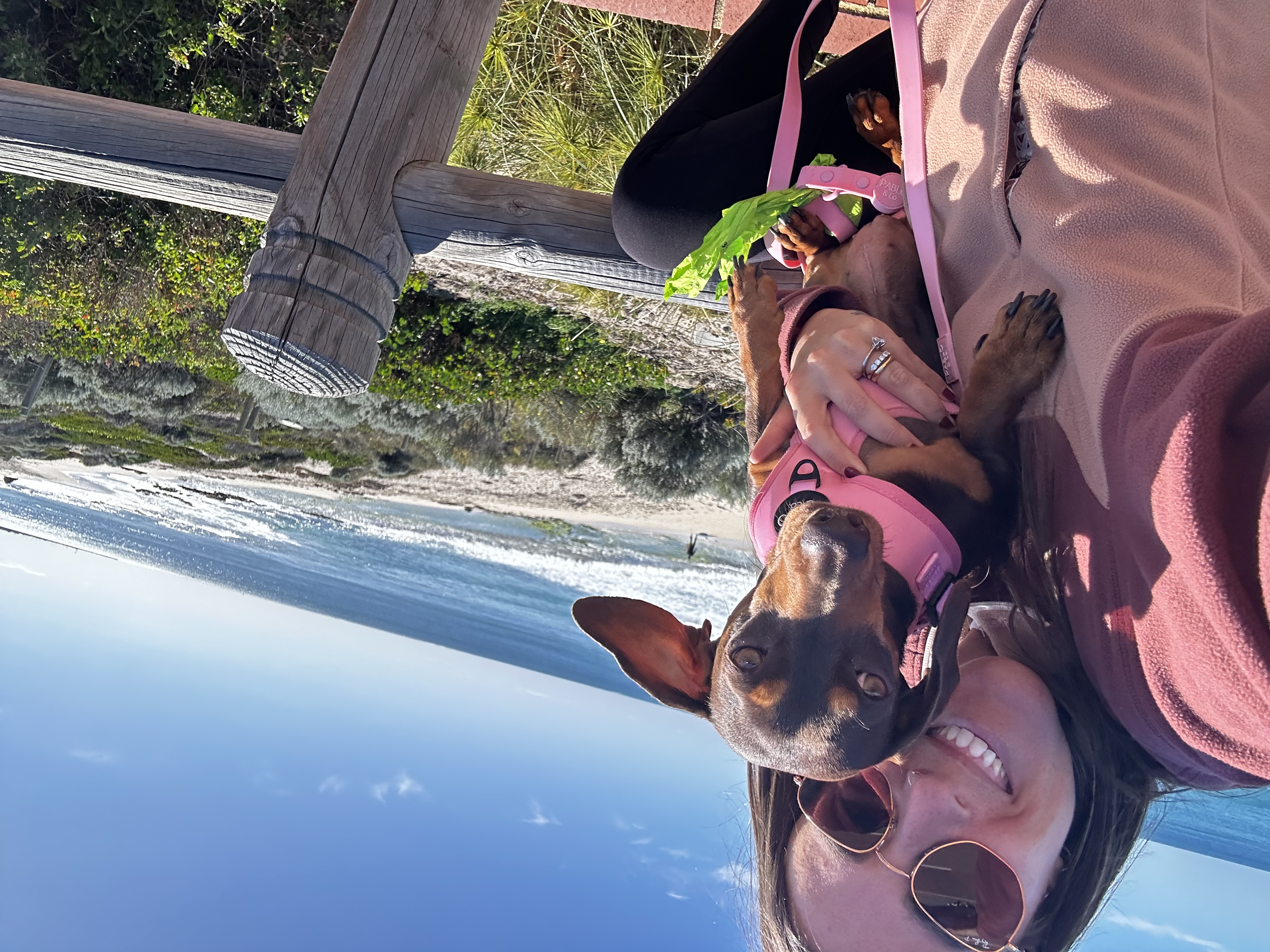 image-15