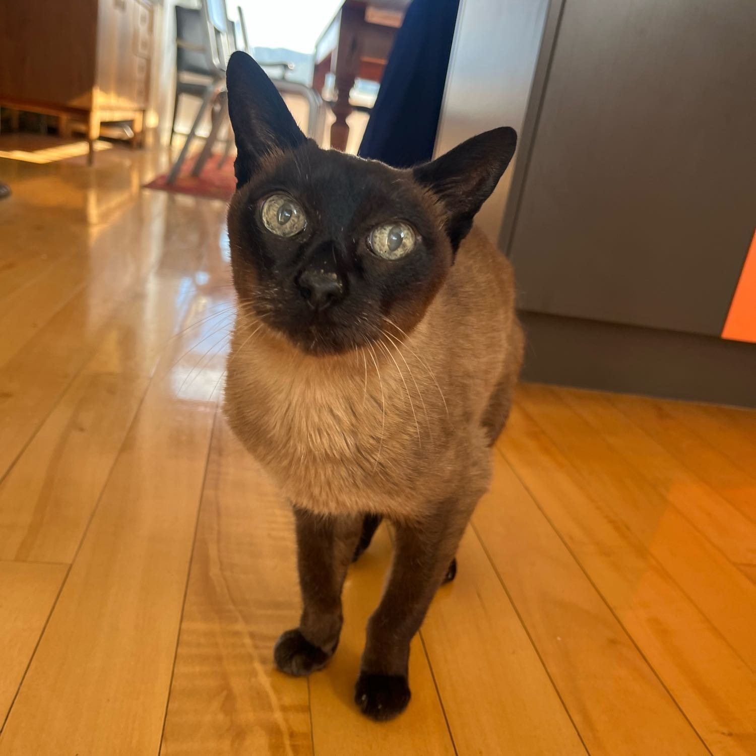 Sid