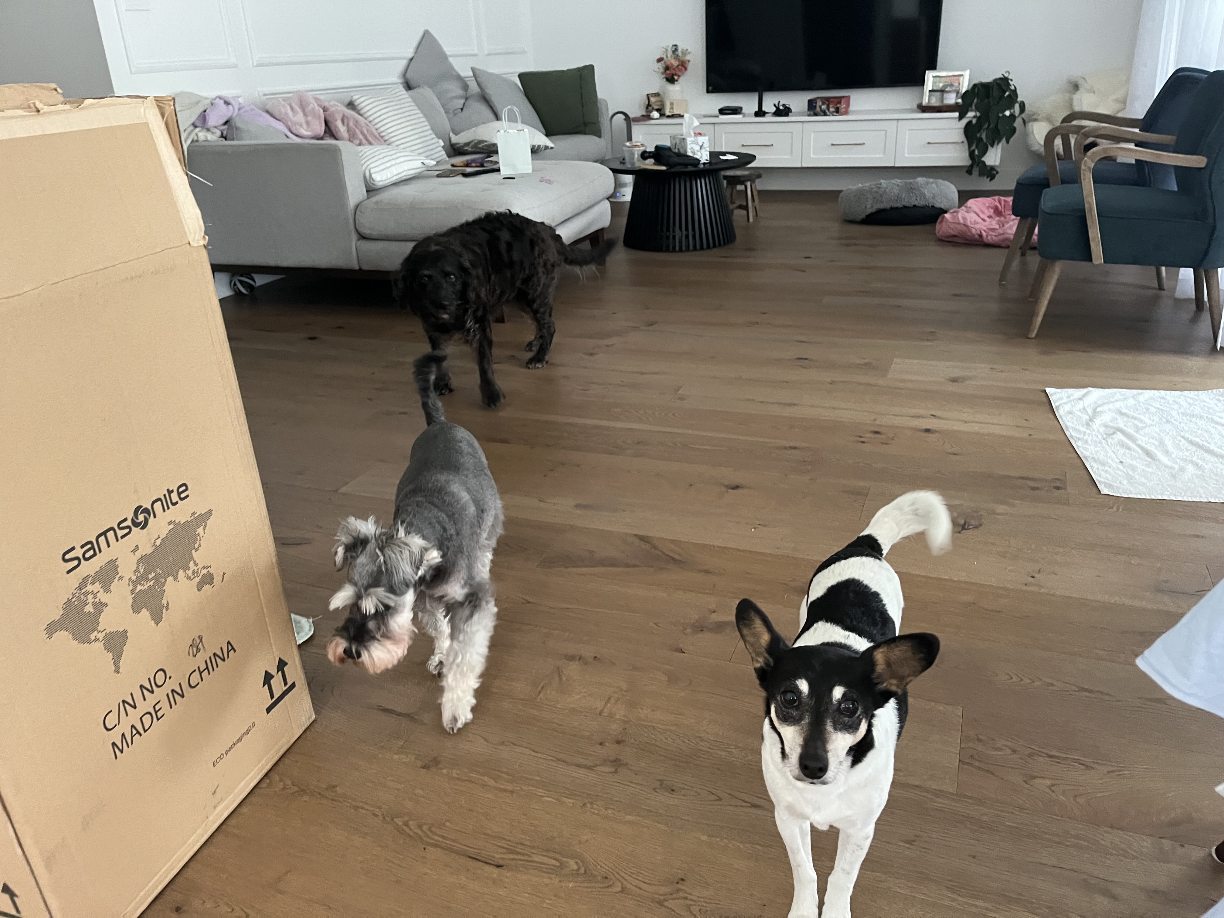 image-12