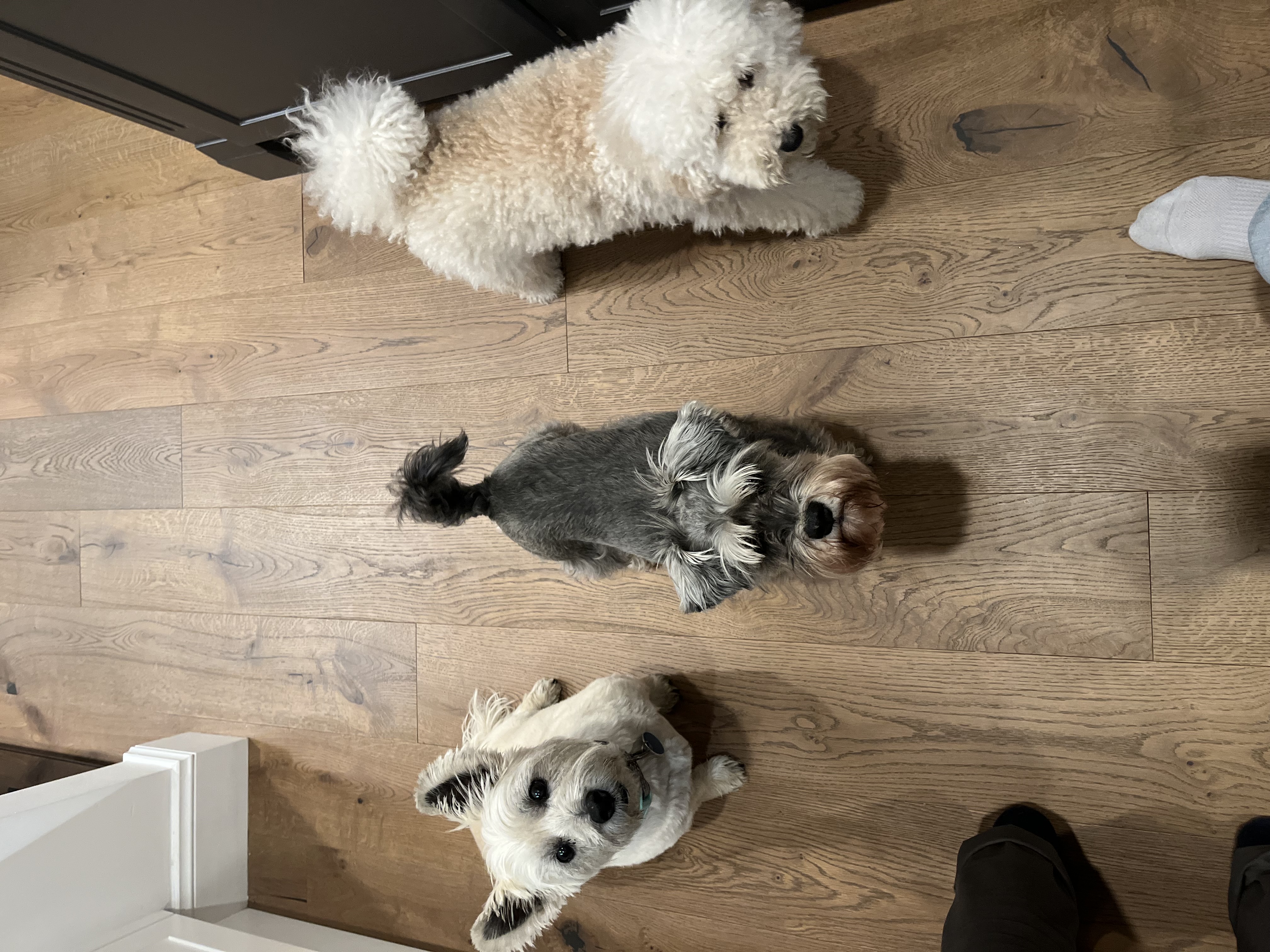 image-9
