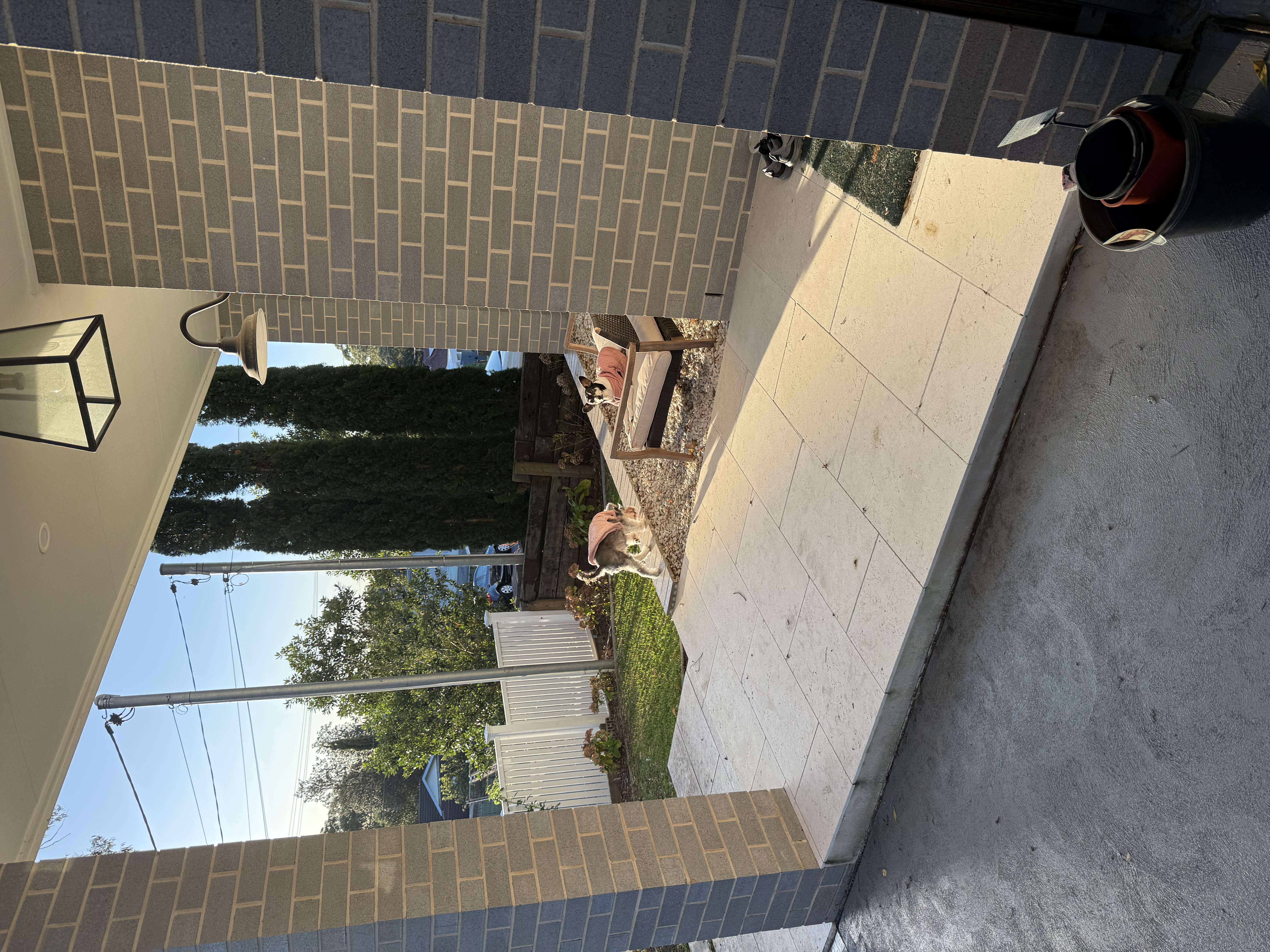 image-18