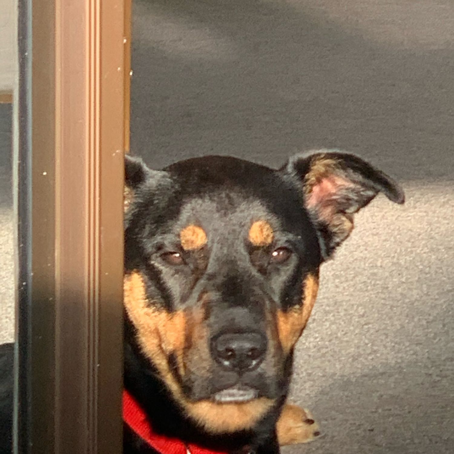 Zoe