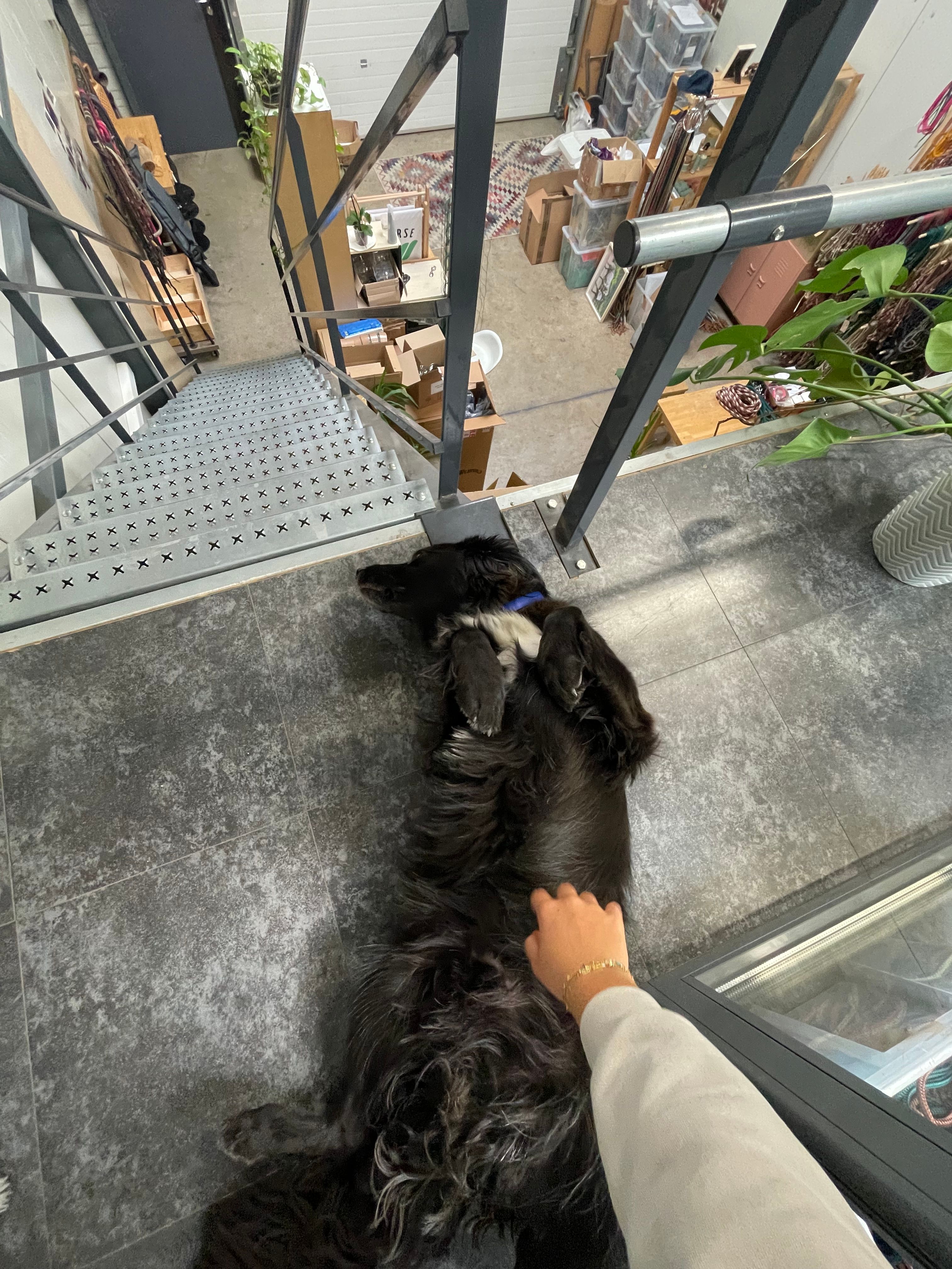 image-8