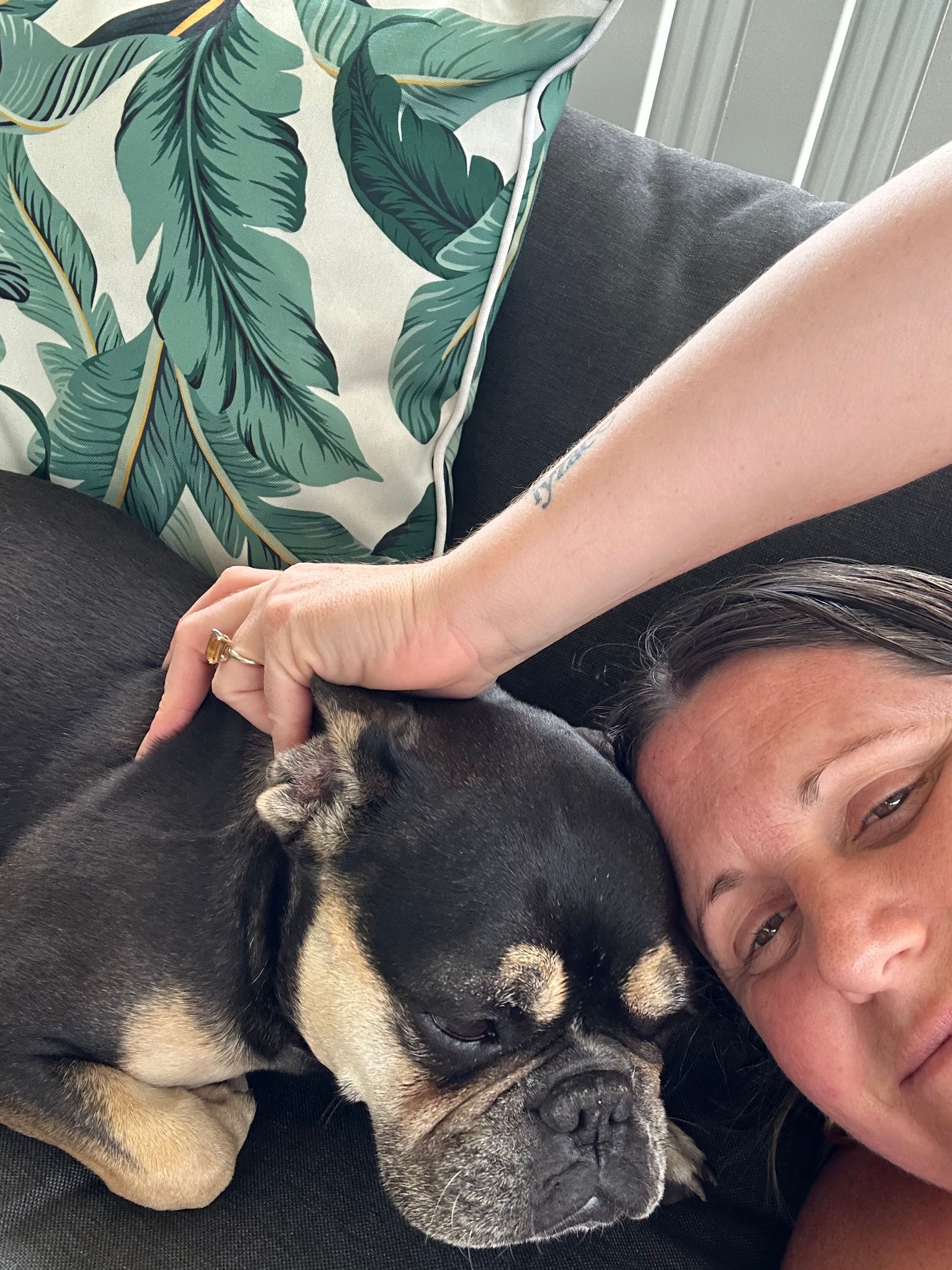 image-5