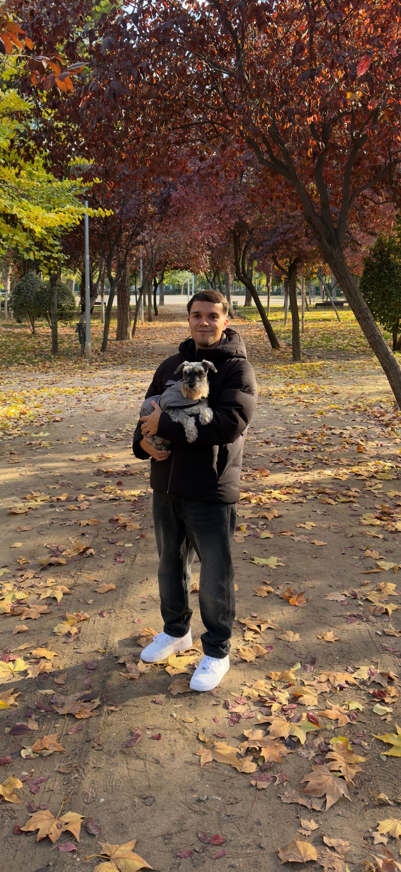 image-4