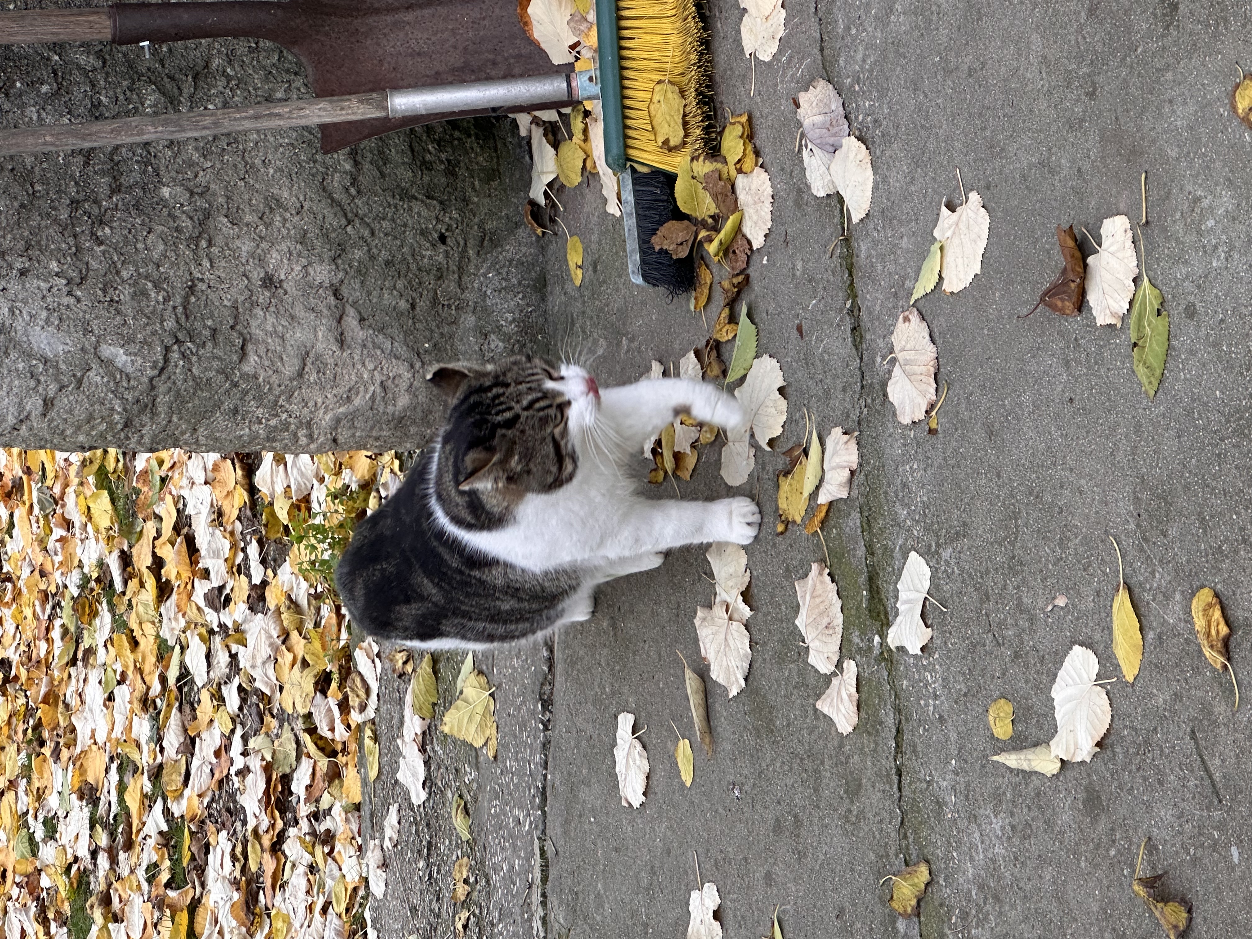 image-6