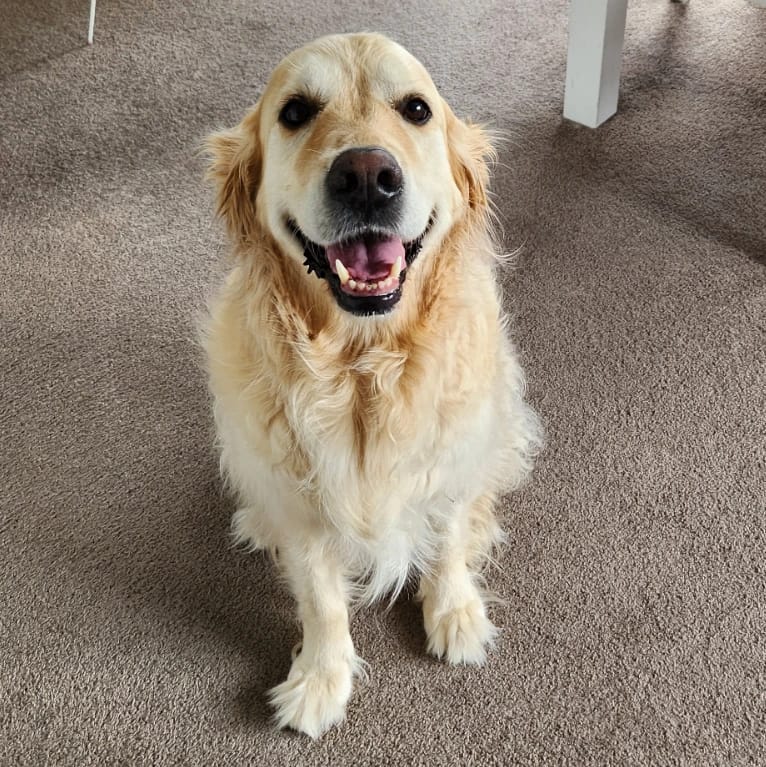 Remus