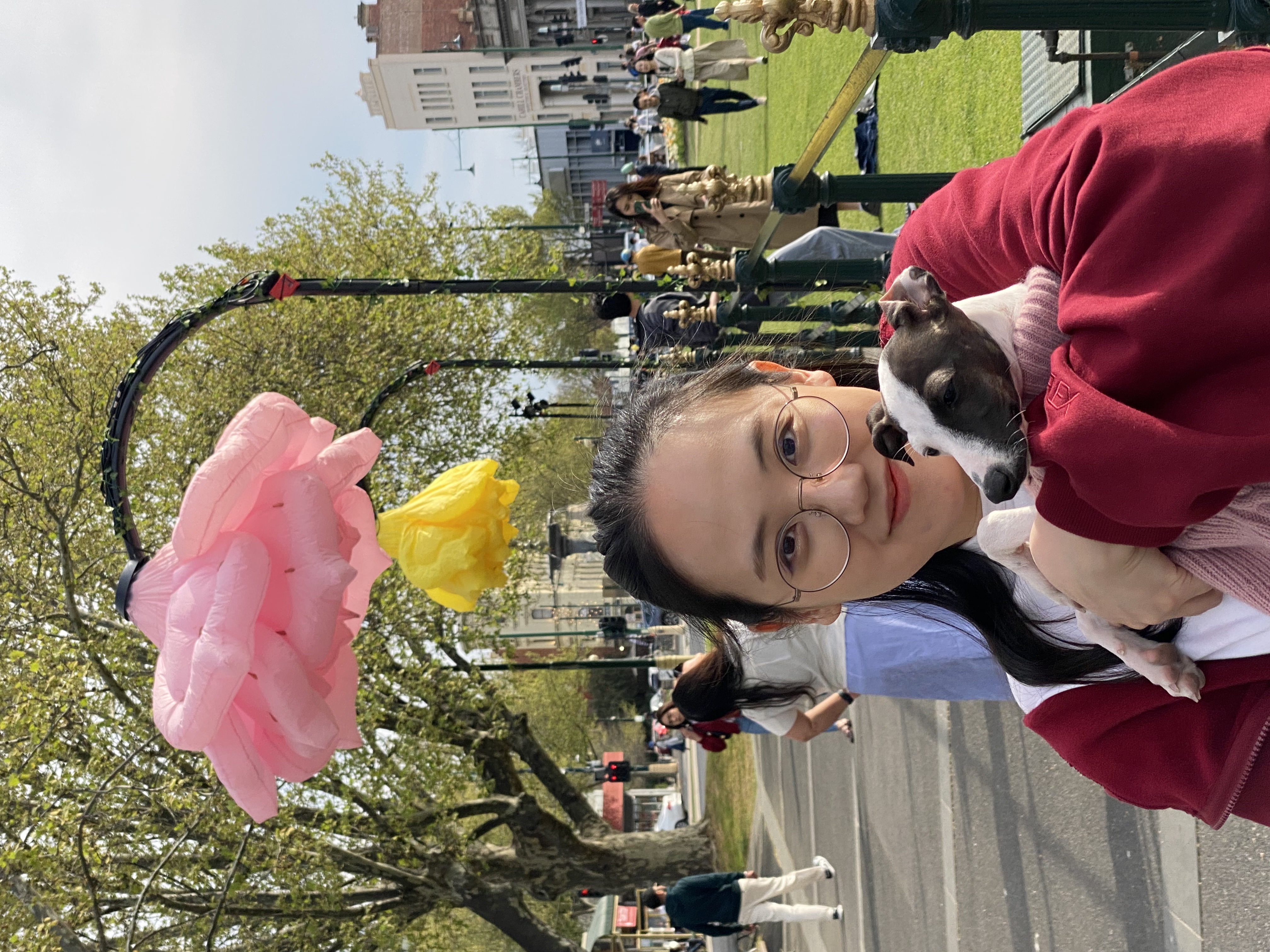 image-7