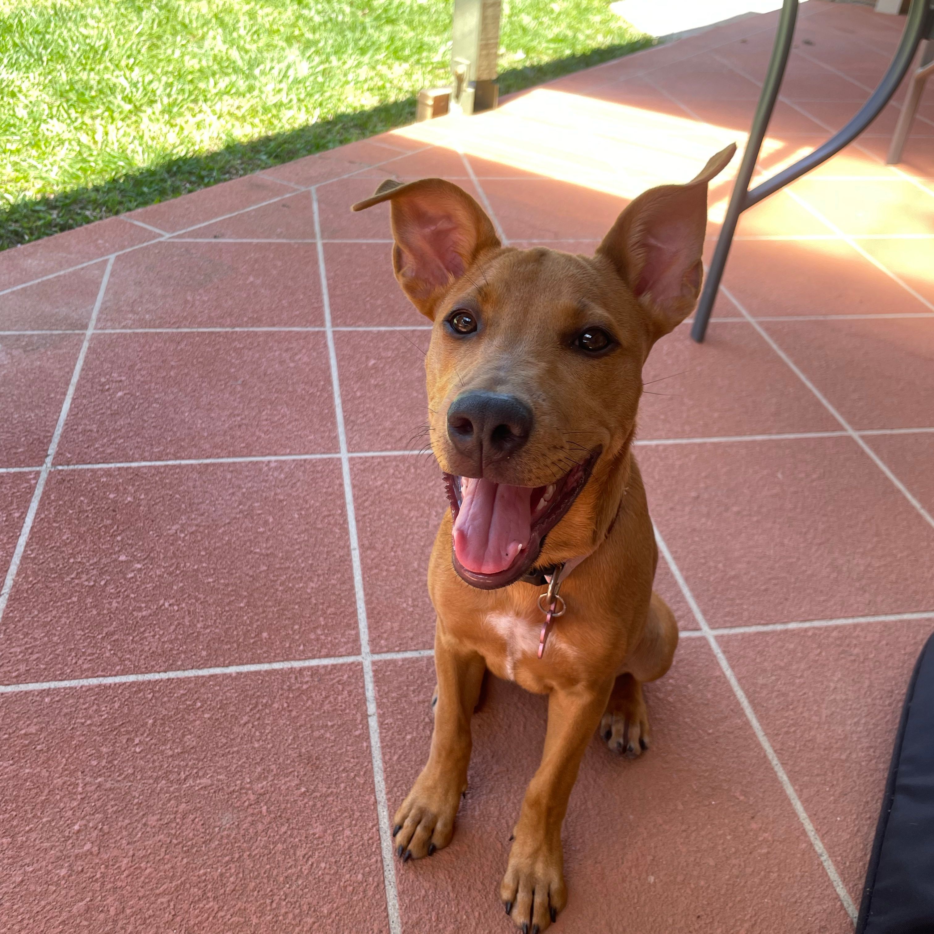 Oakley