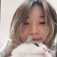 Tingwen