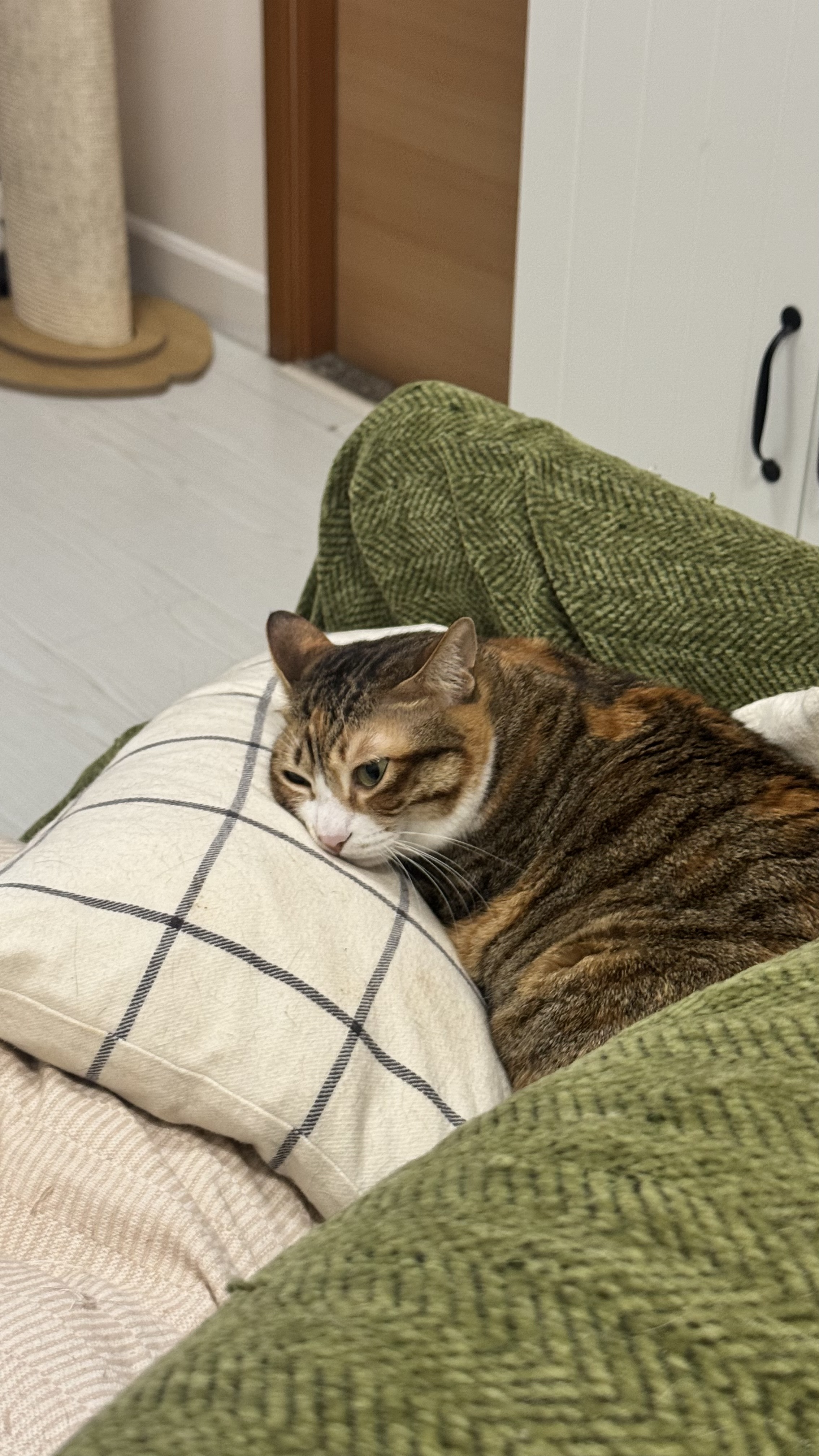 image-9