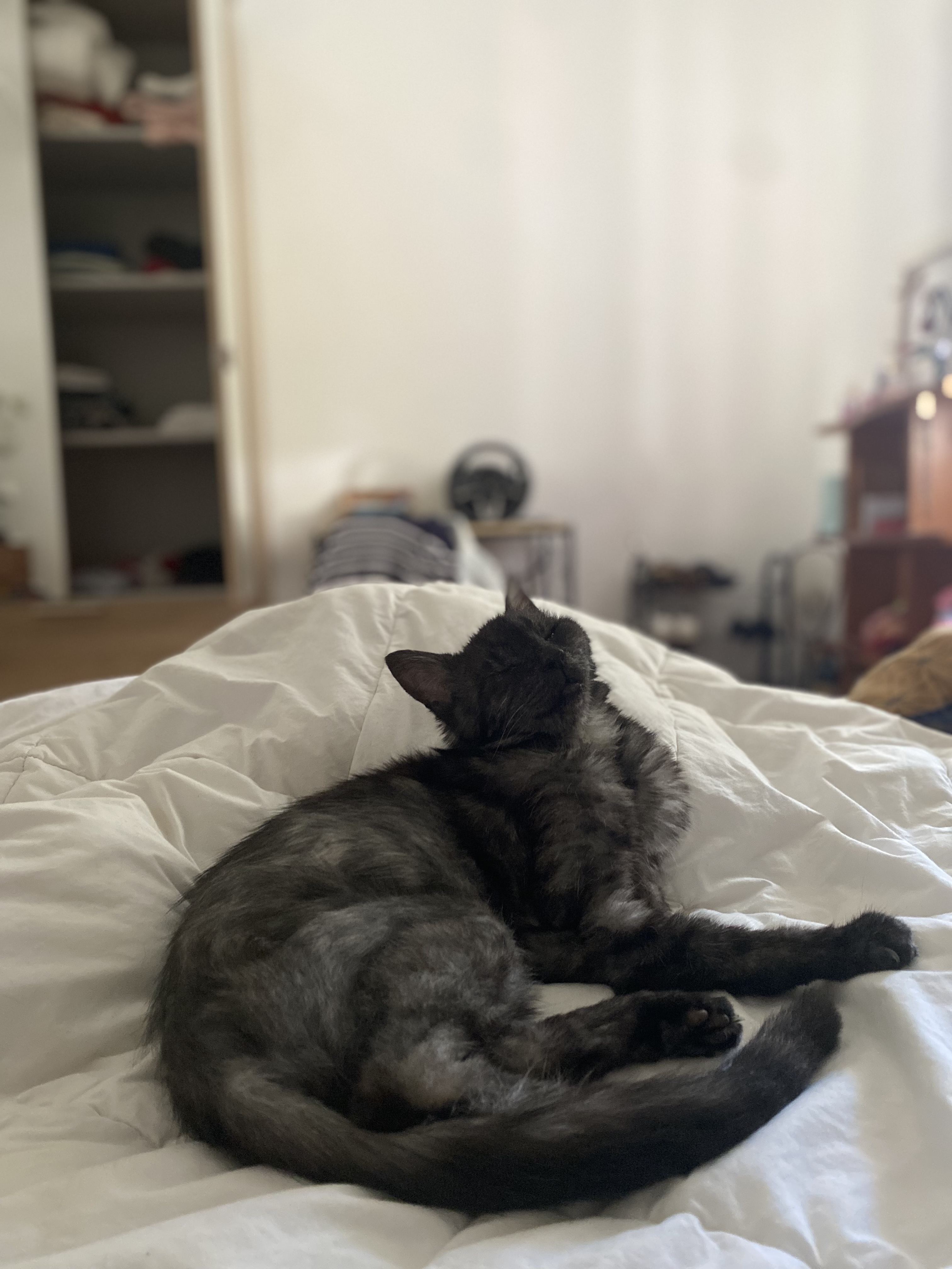 image-8