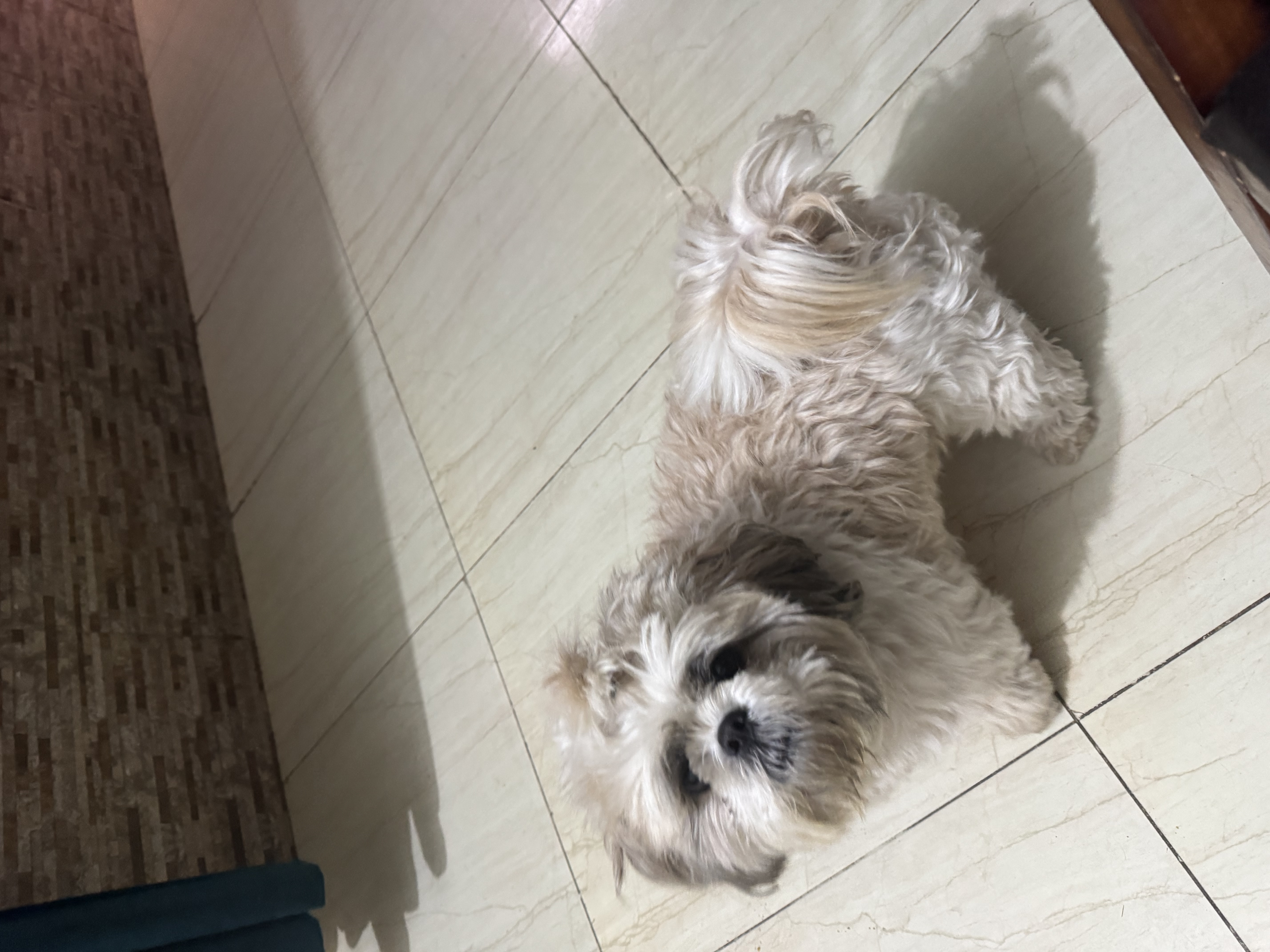 image-6