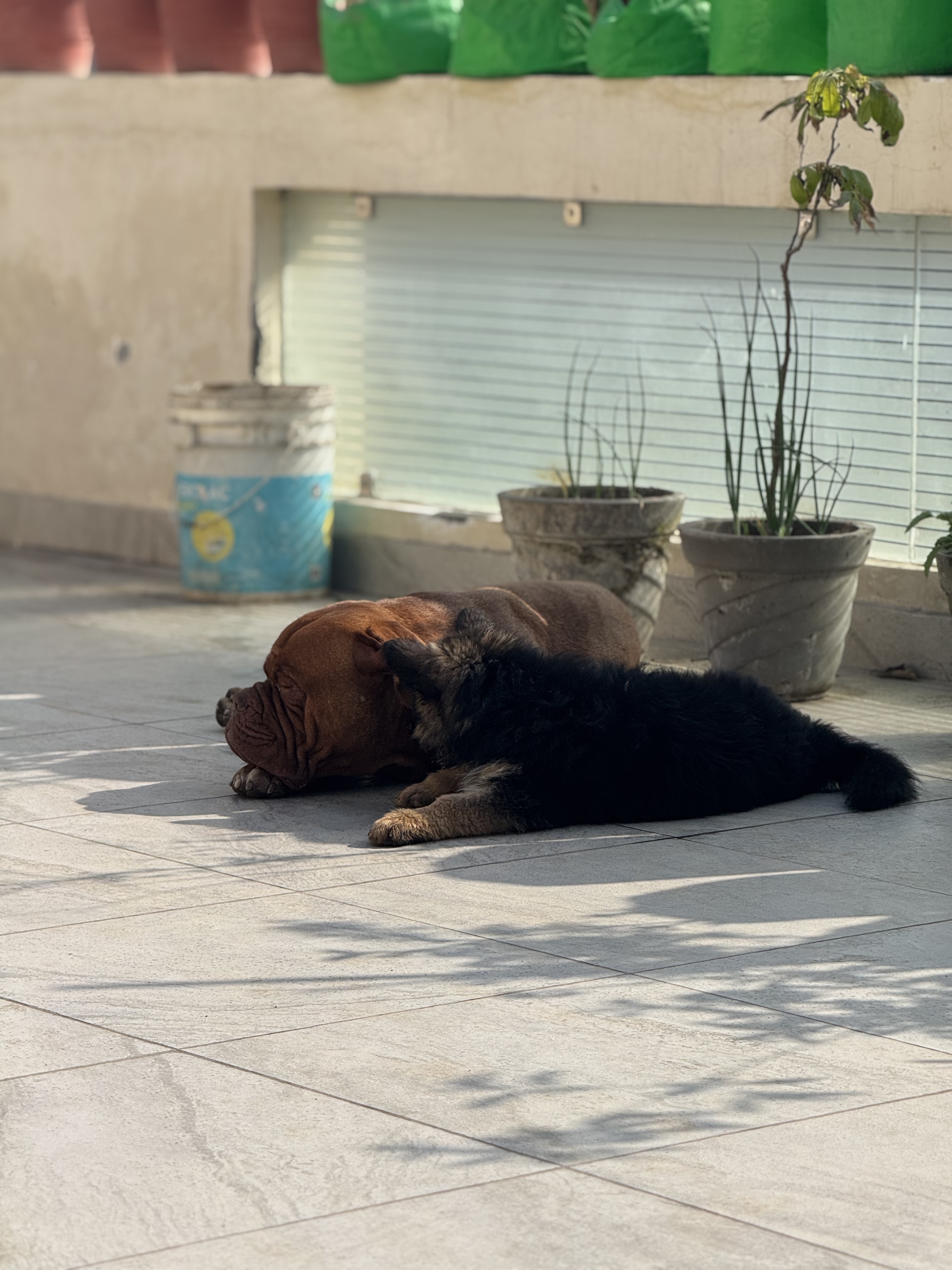 image-11