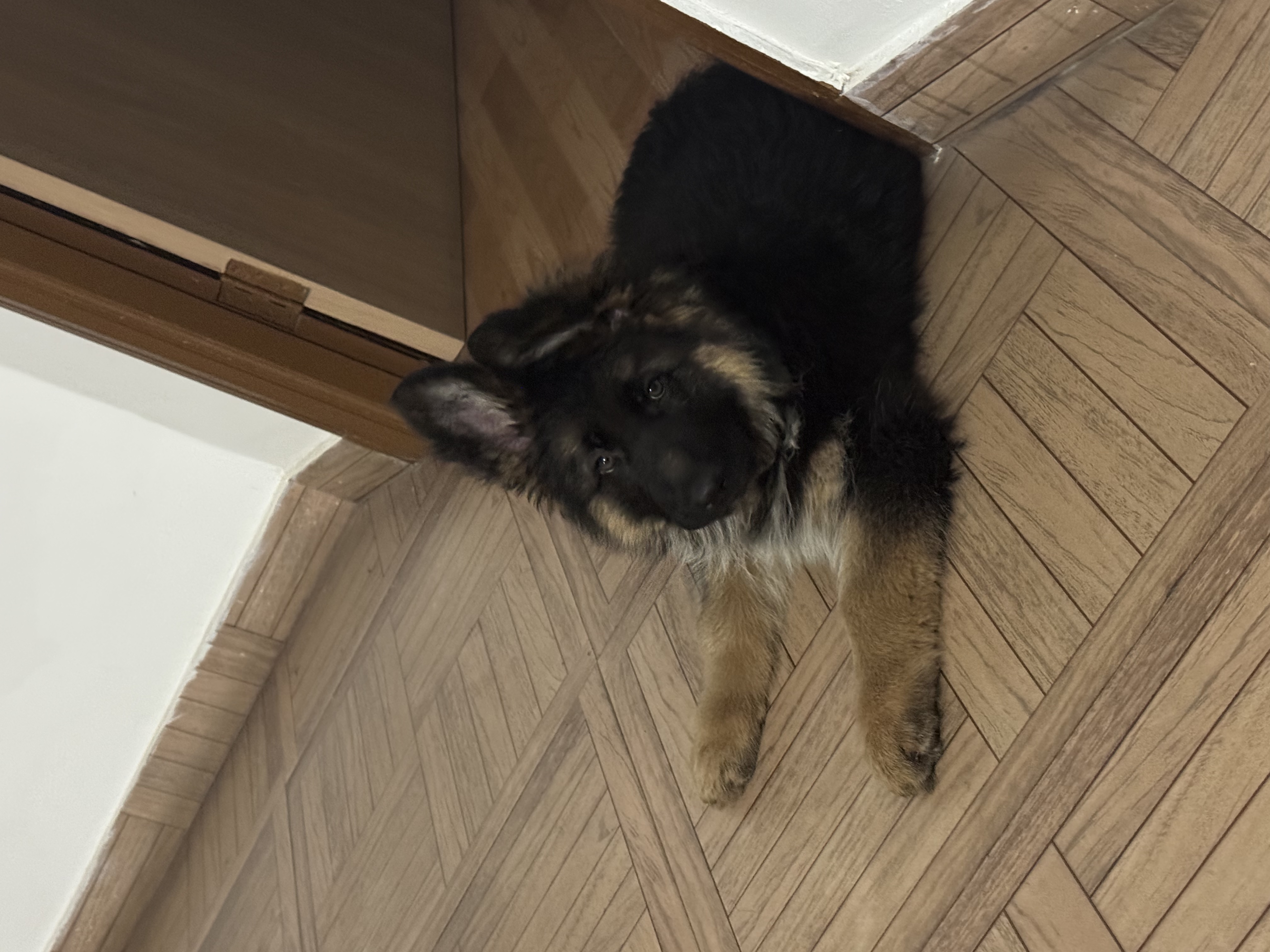 image-10