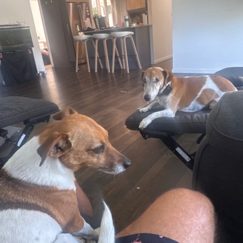 Liam