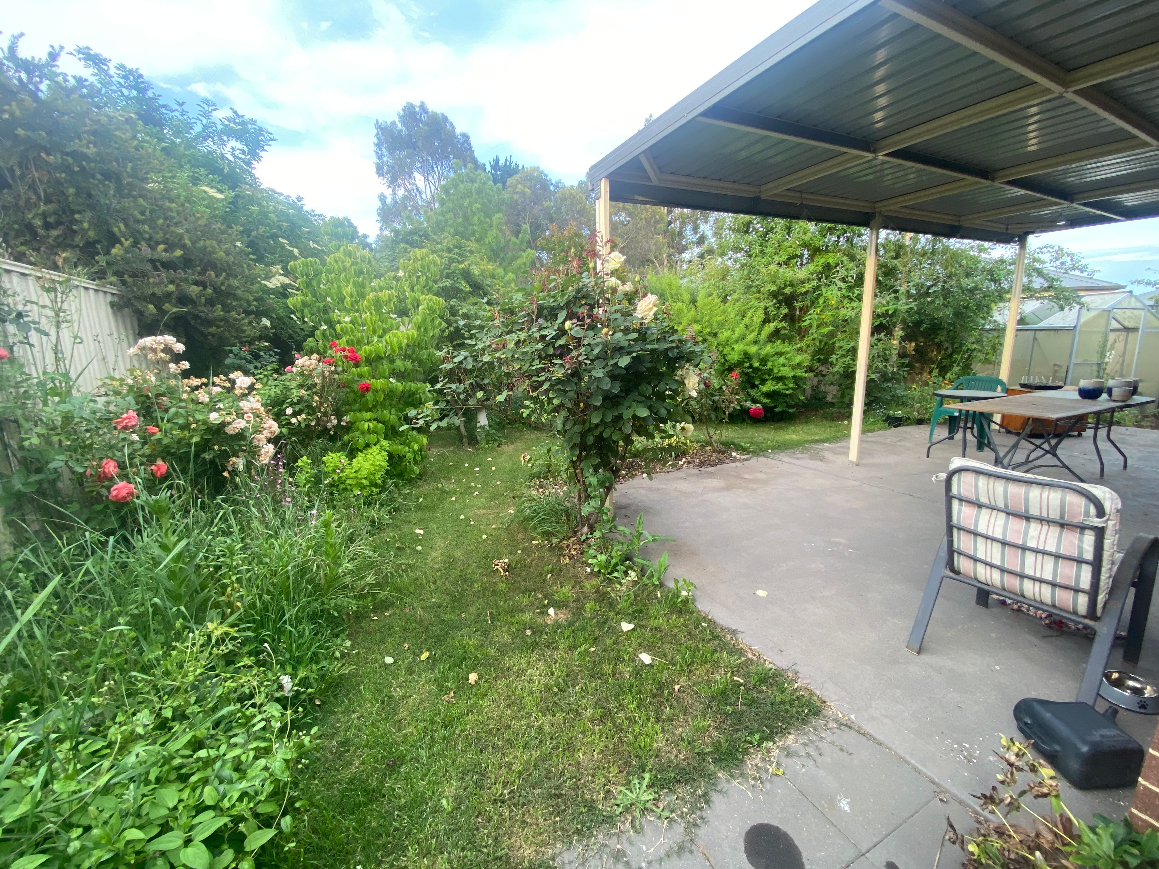 image-15