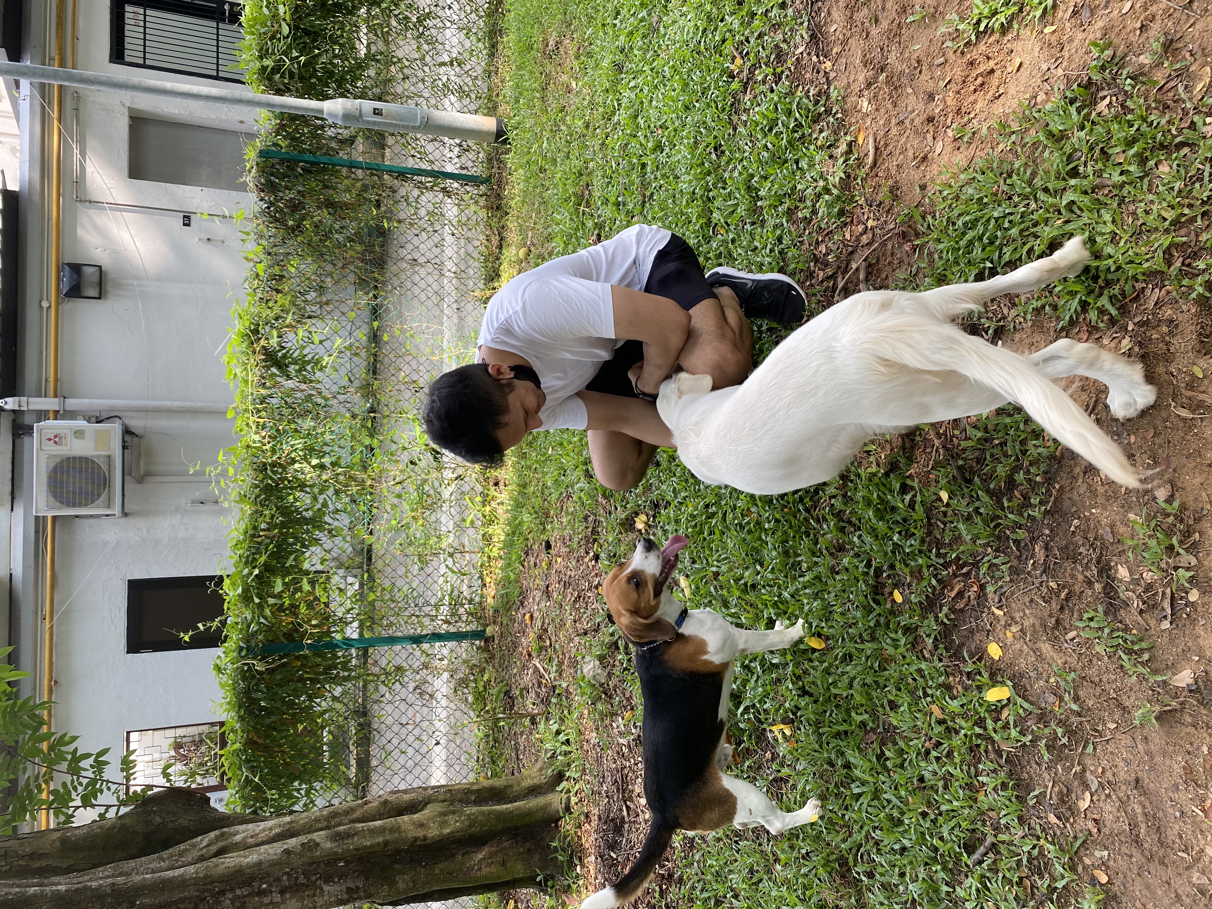 image-7