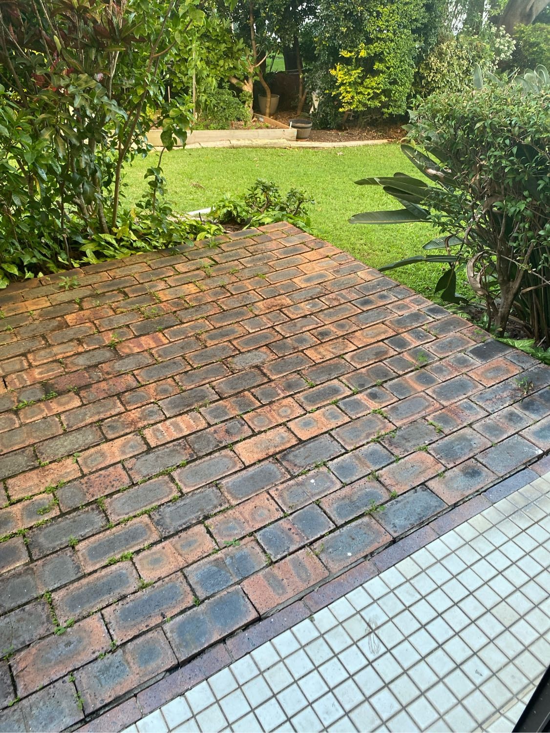 image-5