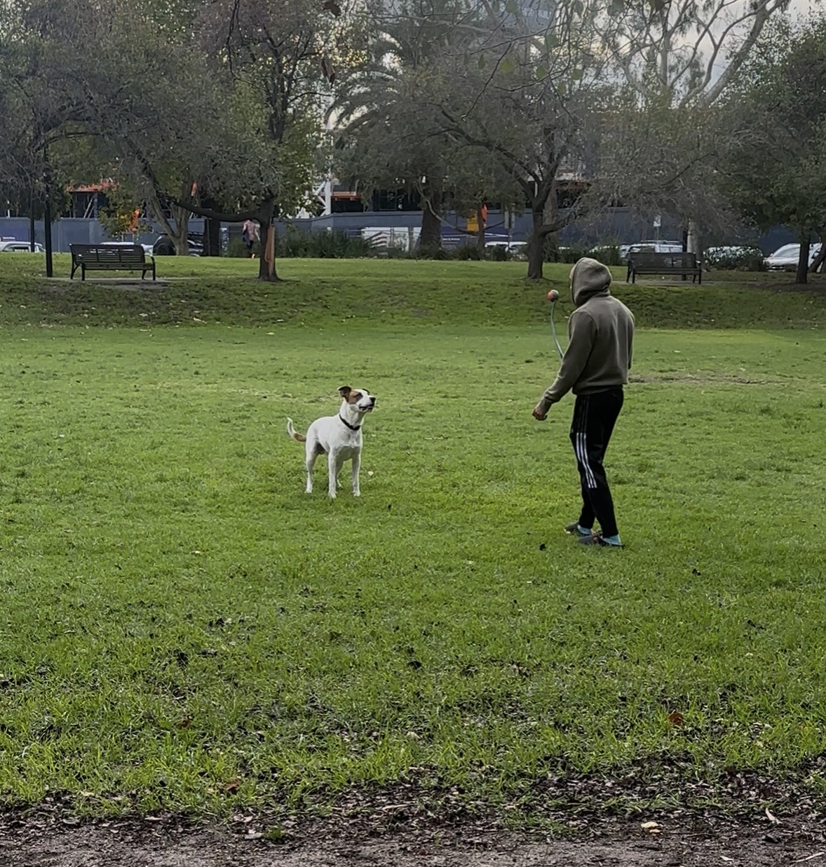 image-8