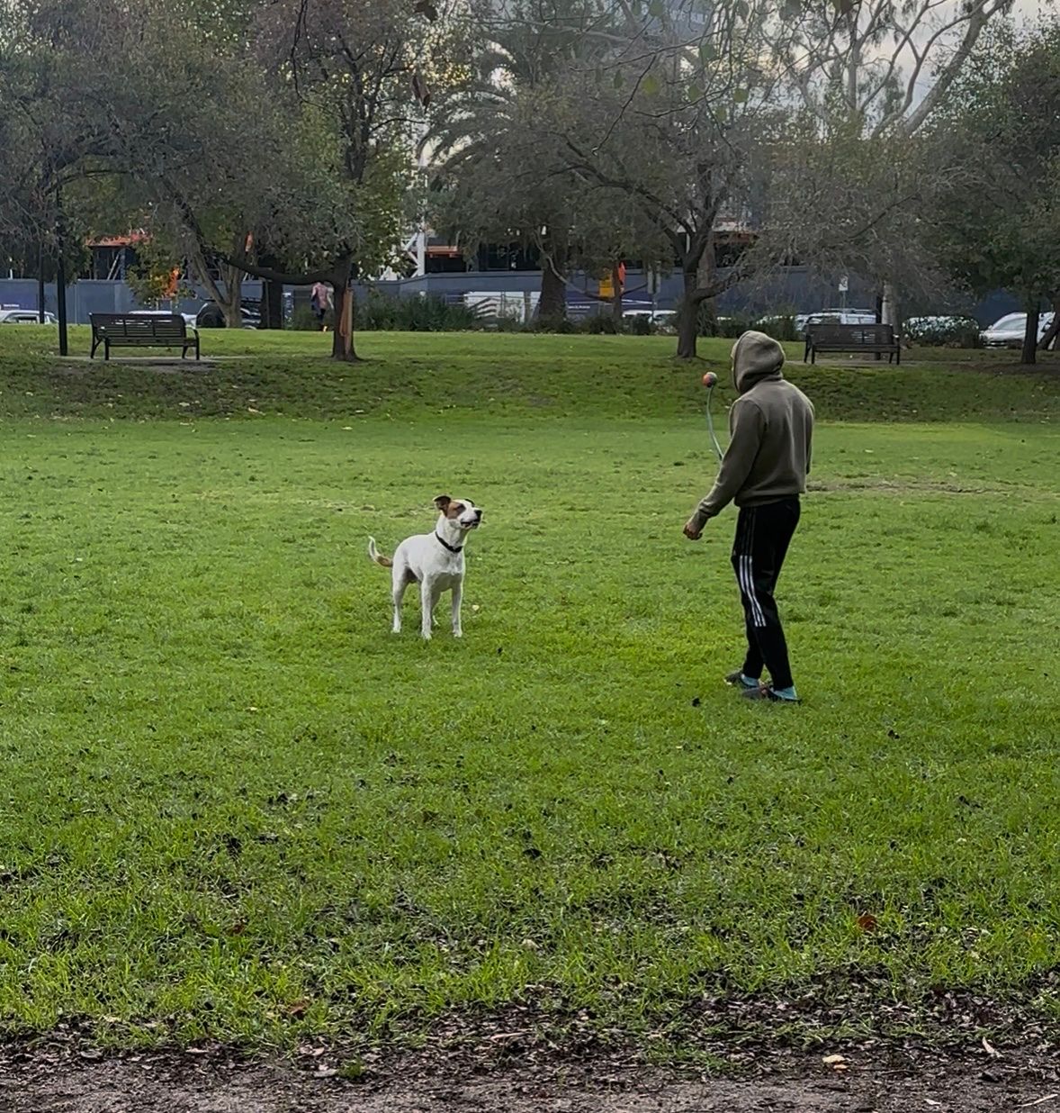image-8
