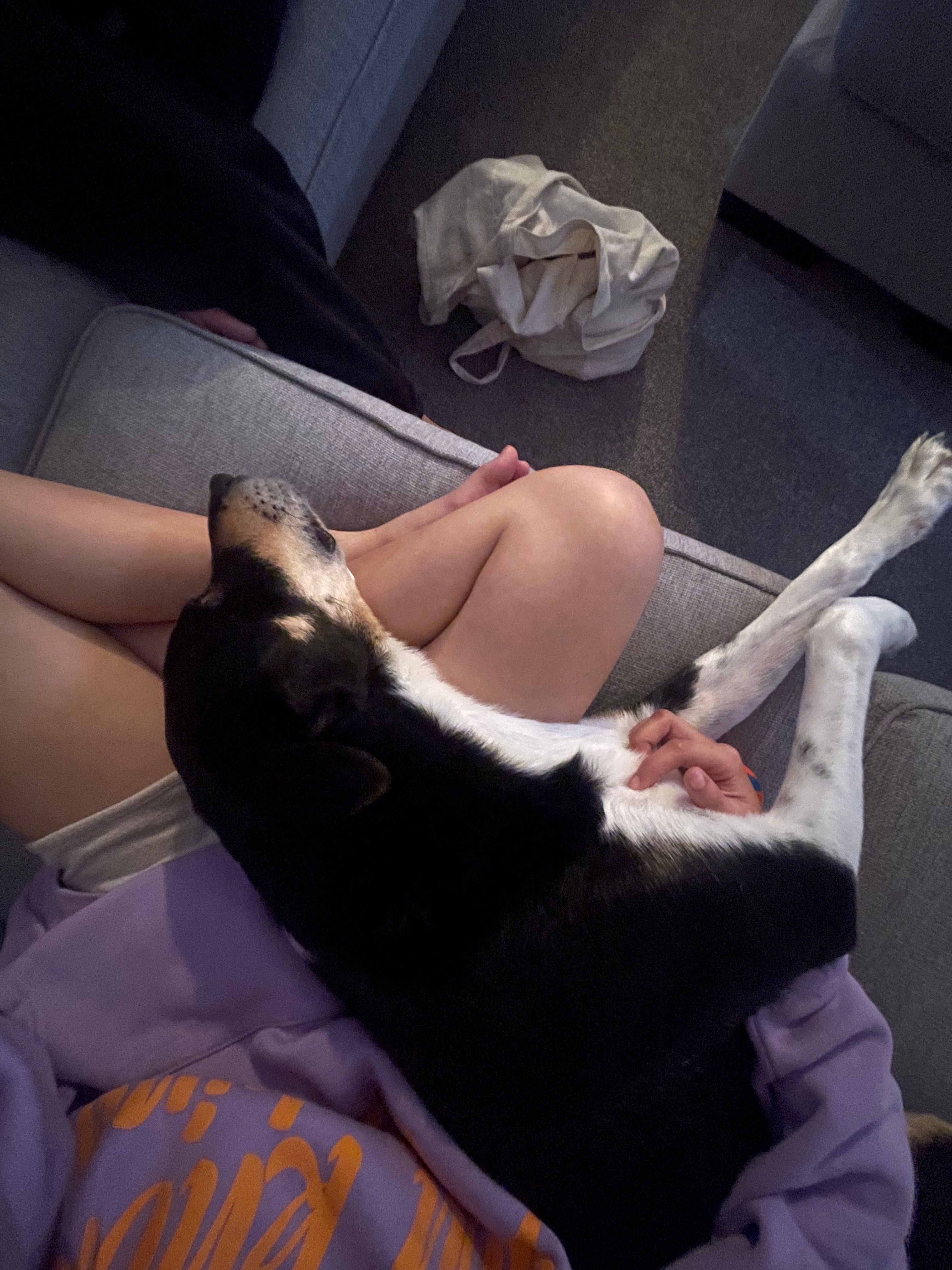 image-5