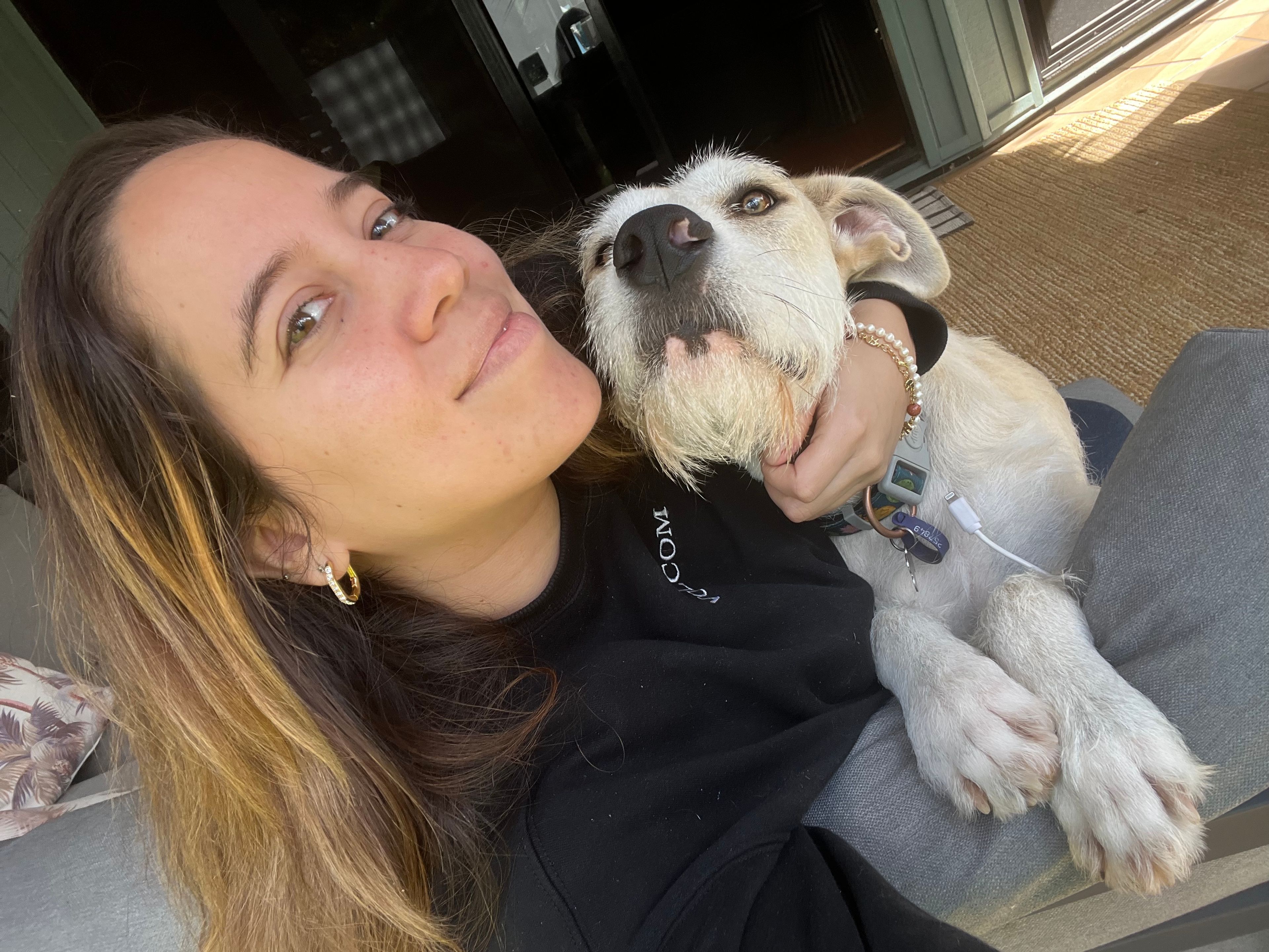 image-19