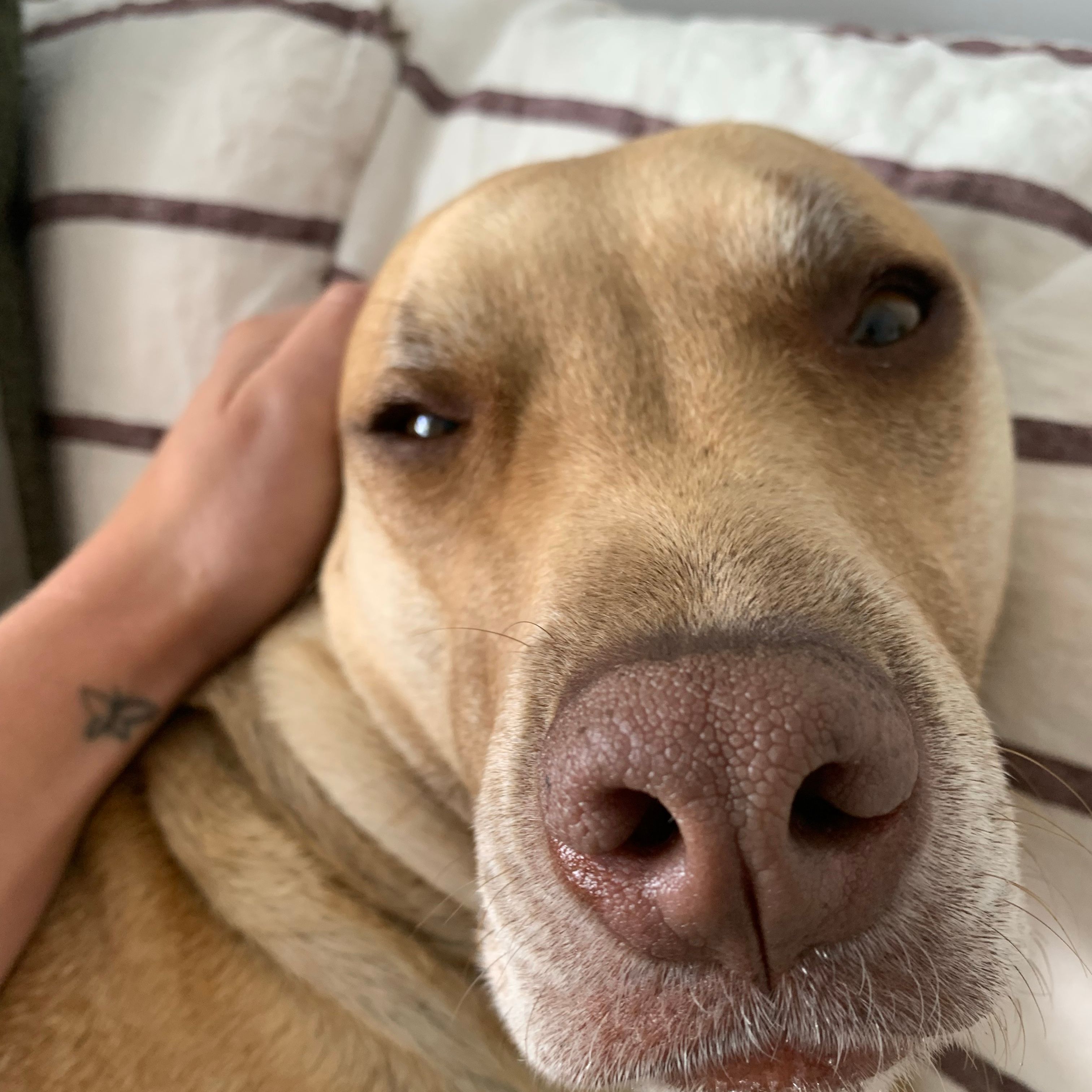 Maggie
