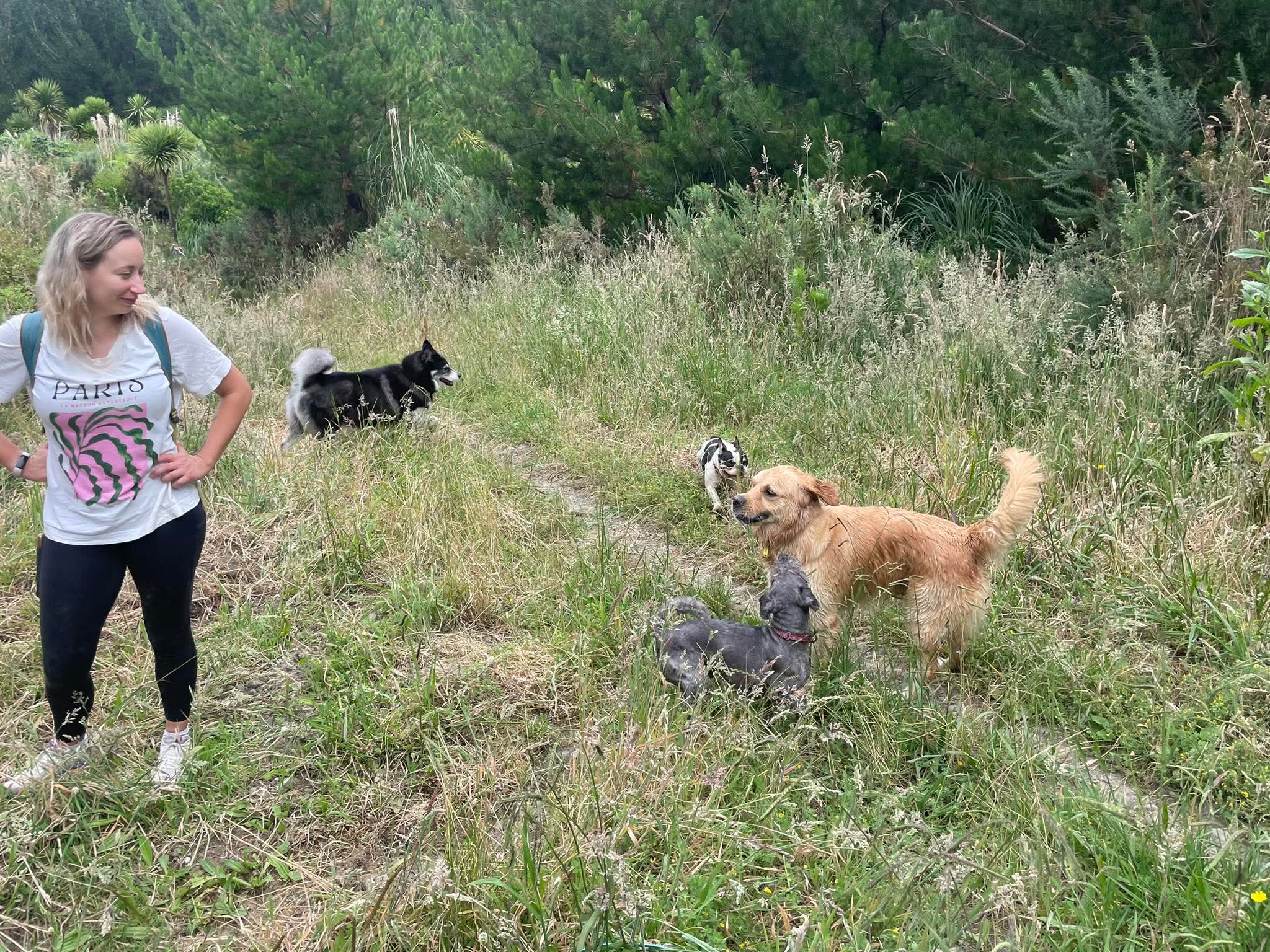 image-5