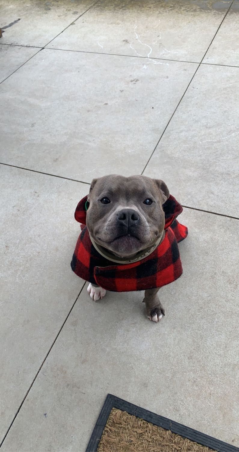 image-2