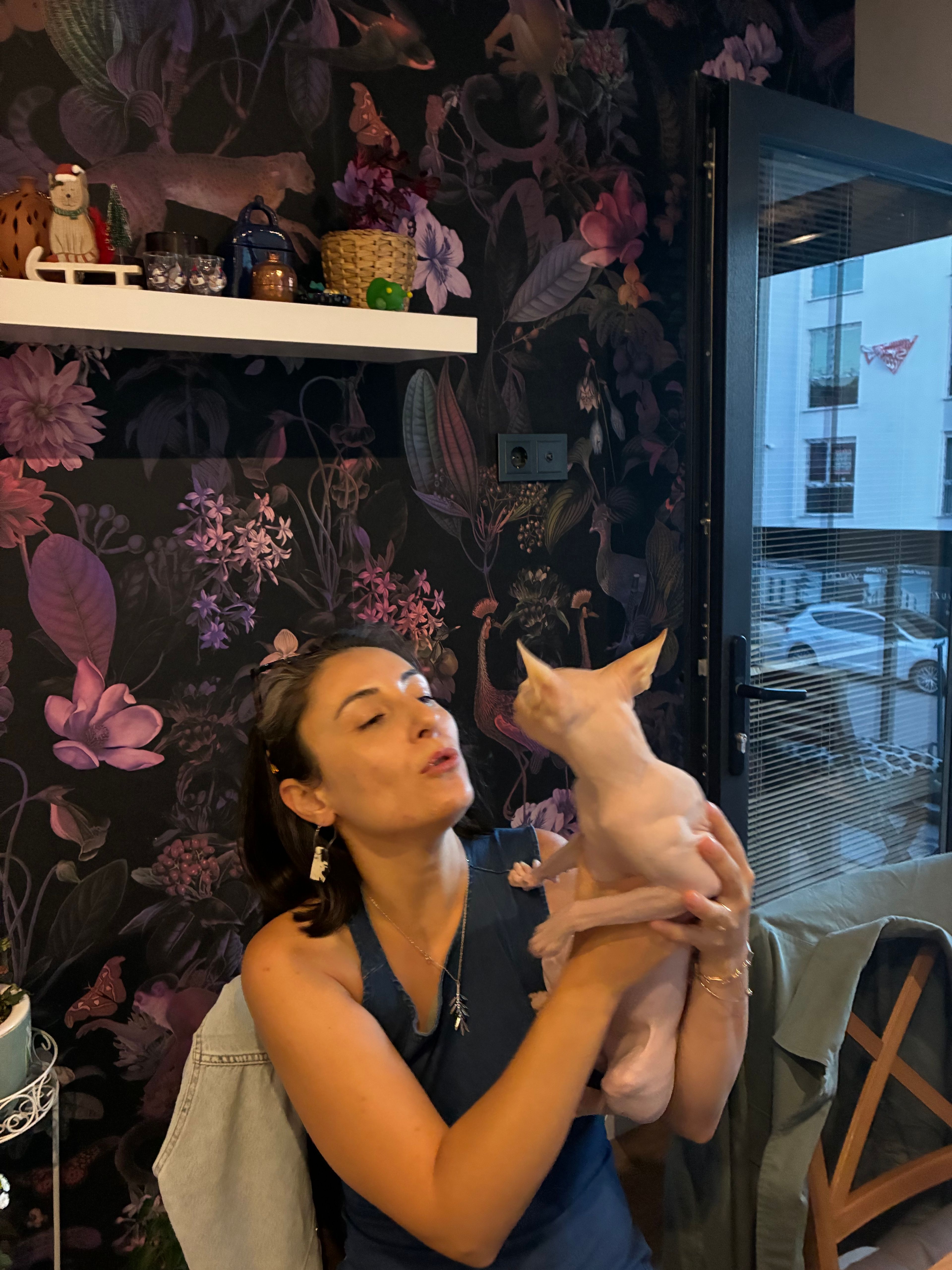 image-6