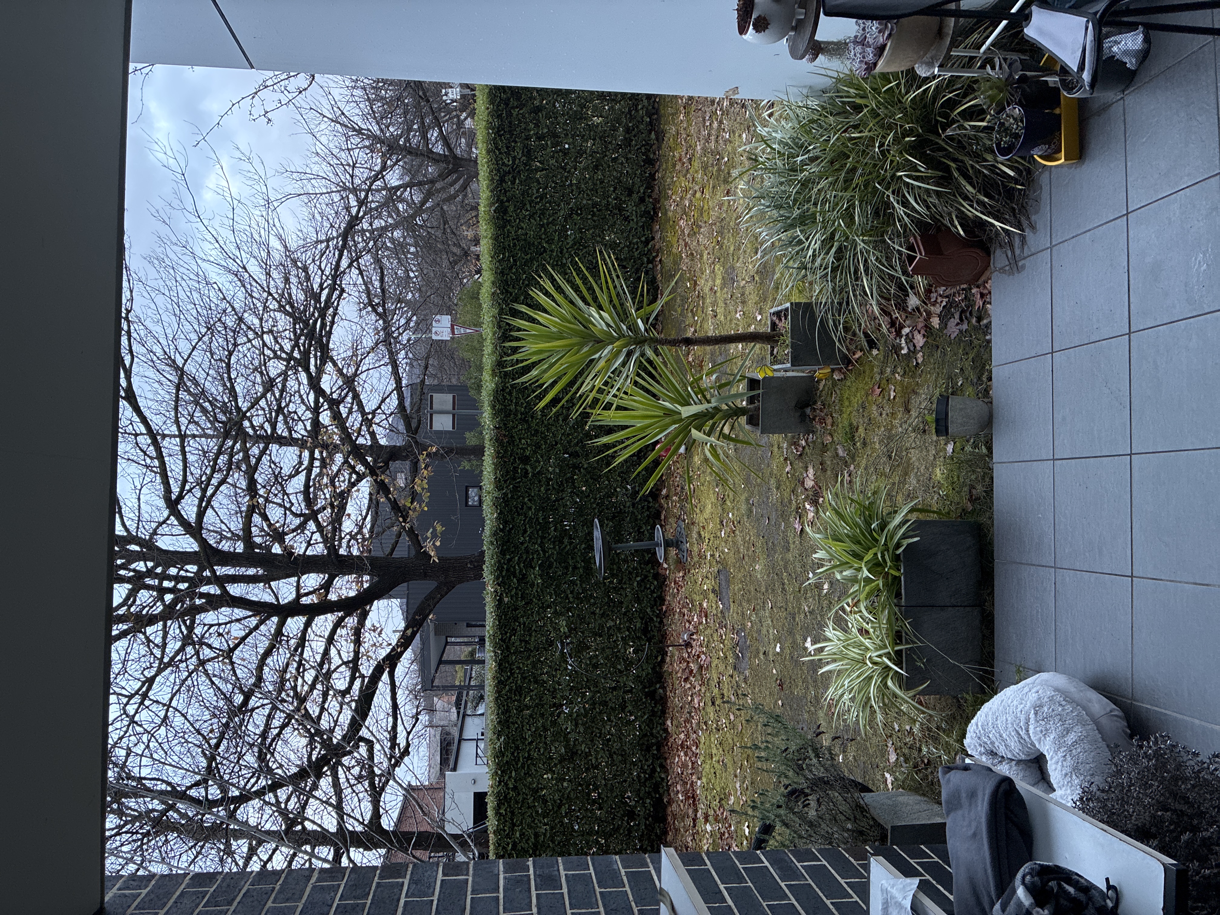 image-15