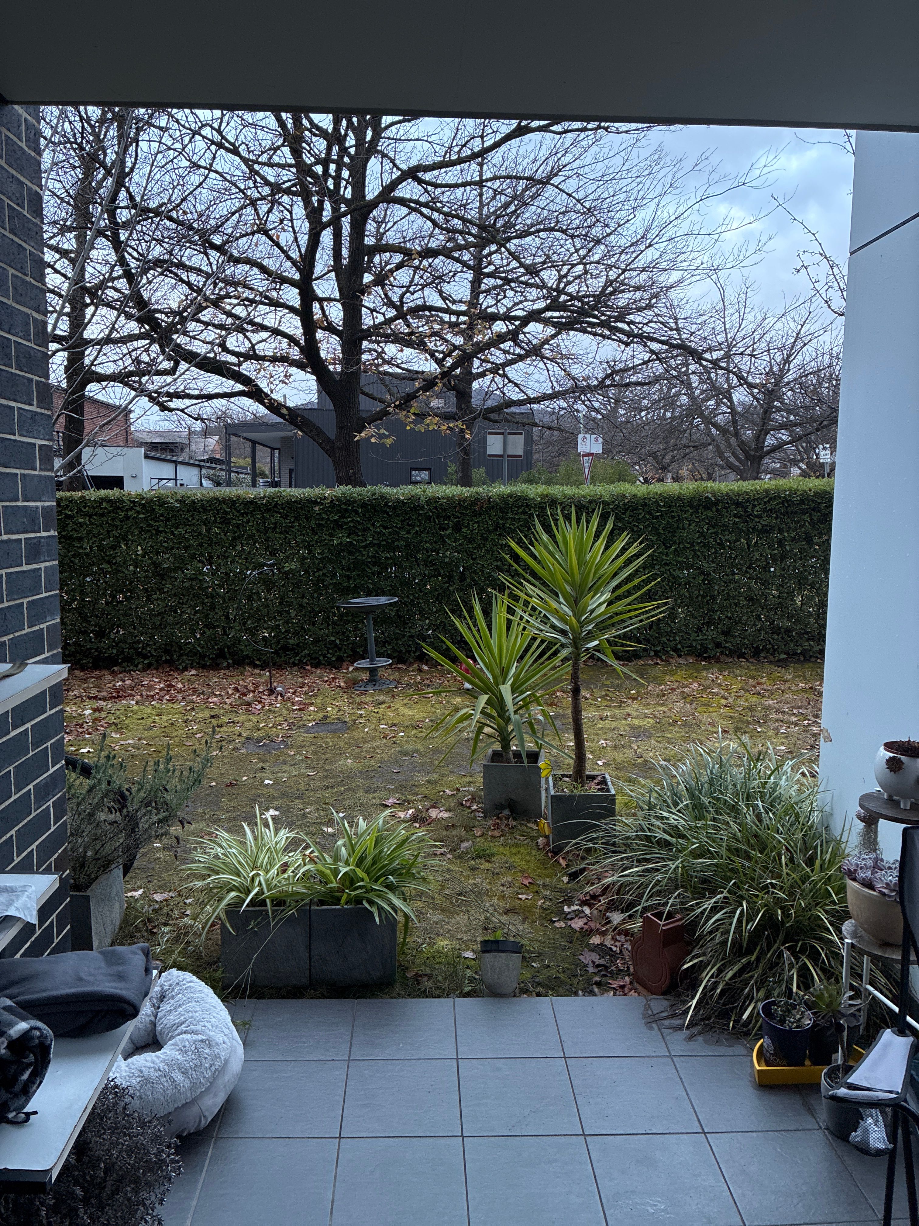 image-15