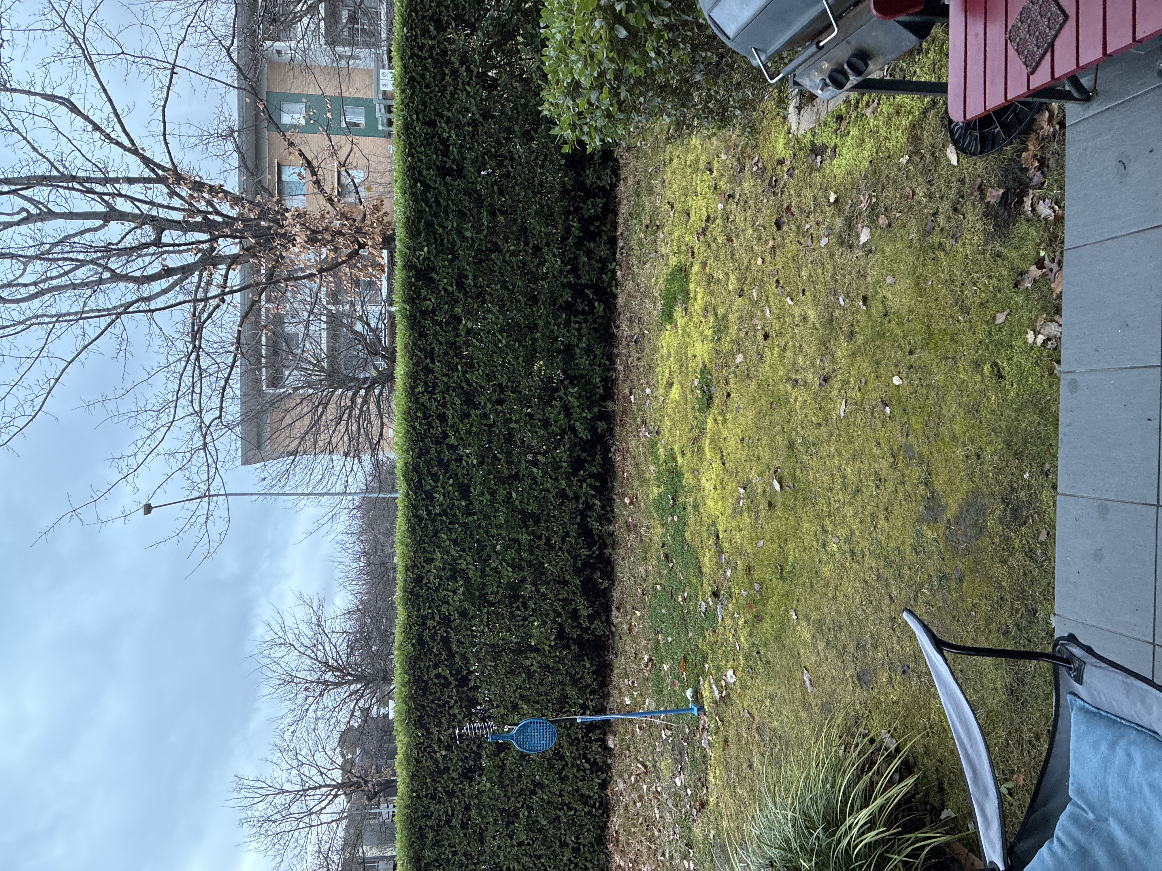 image-16