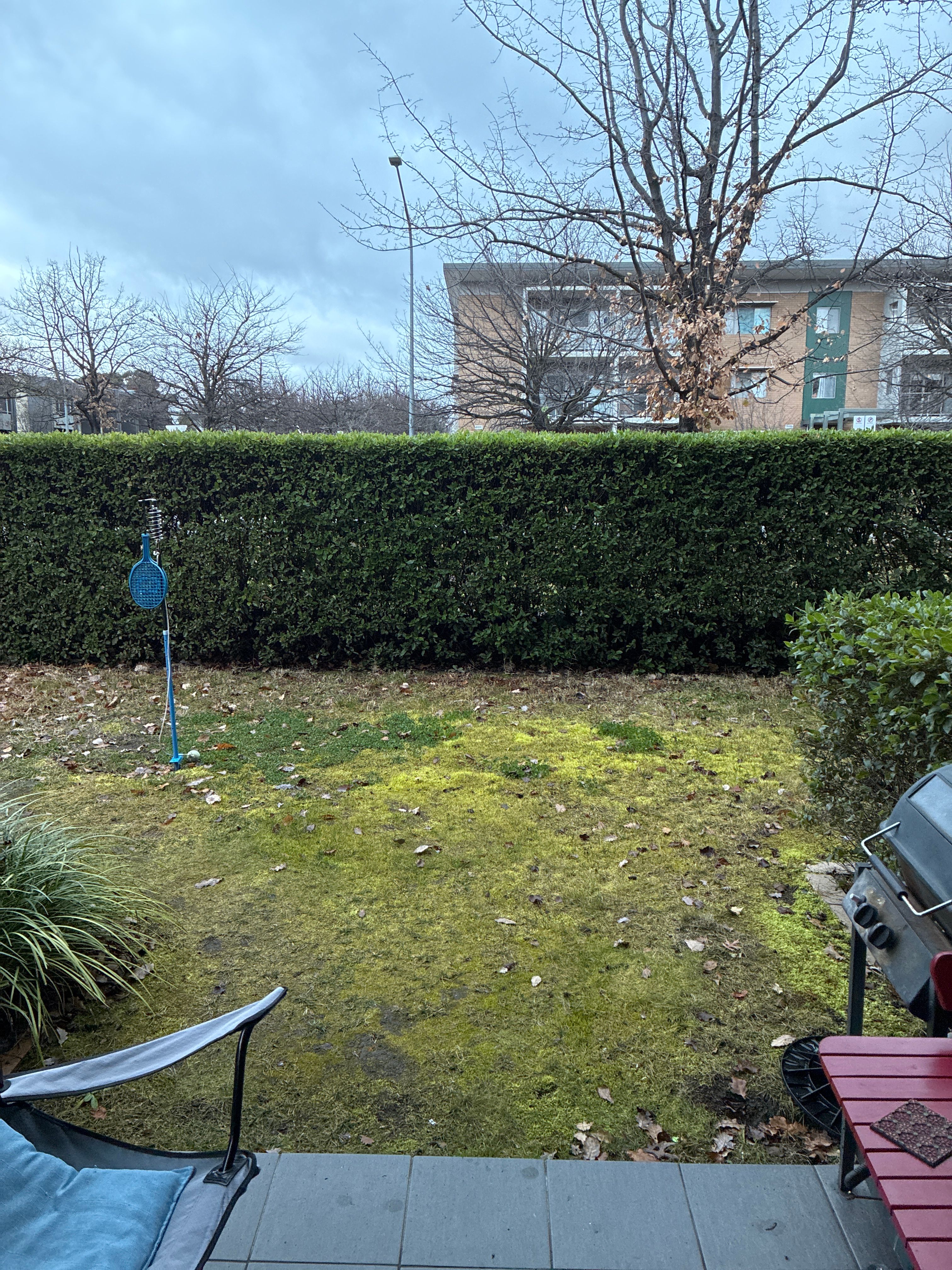 image-16
