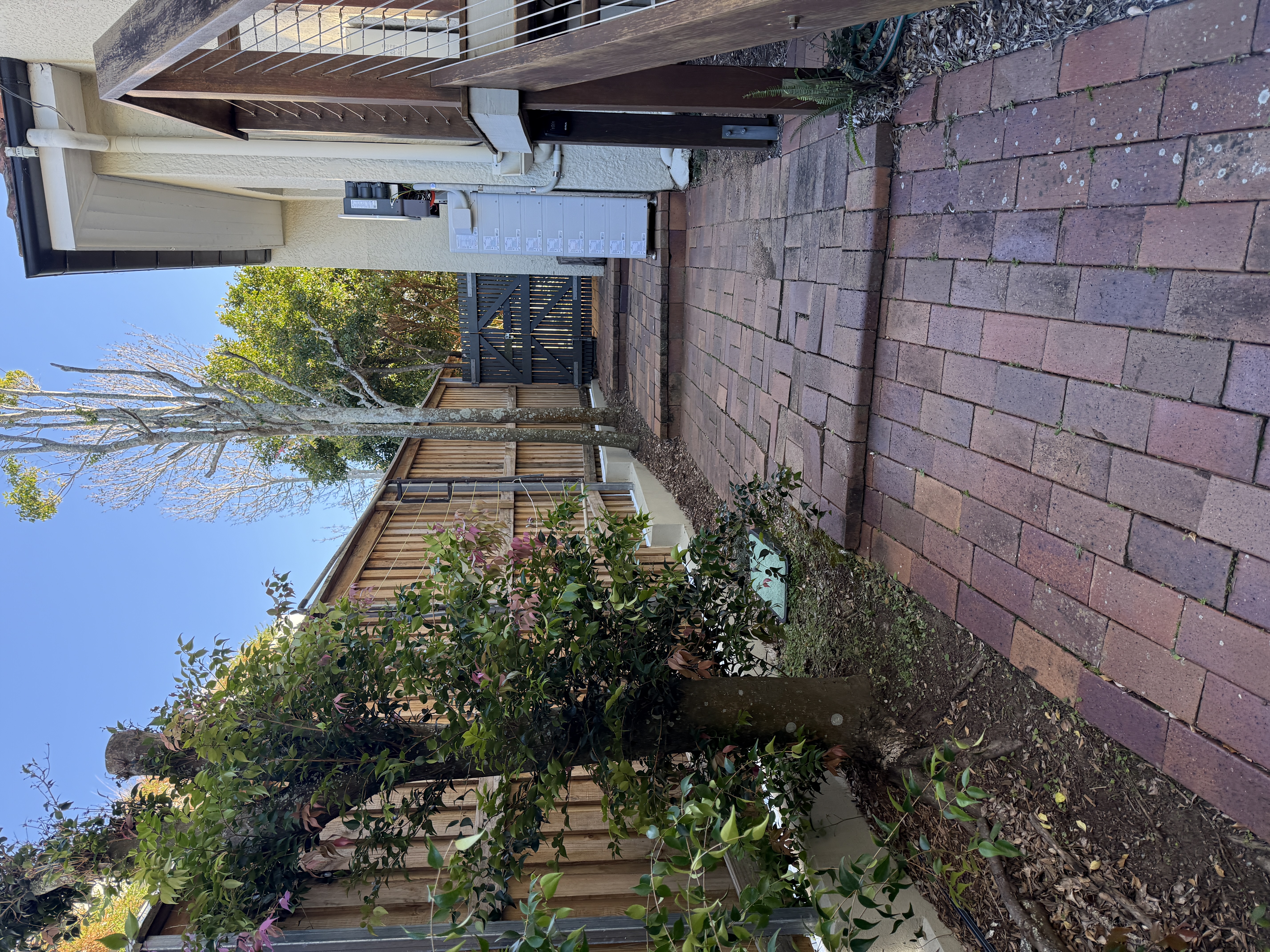 image-18
