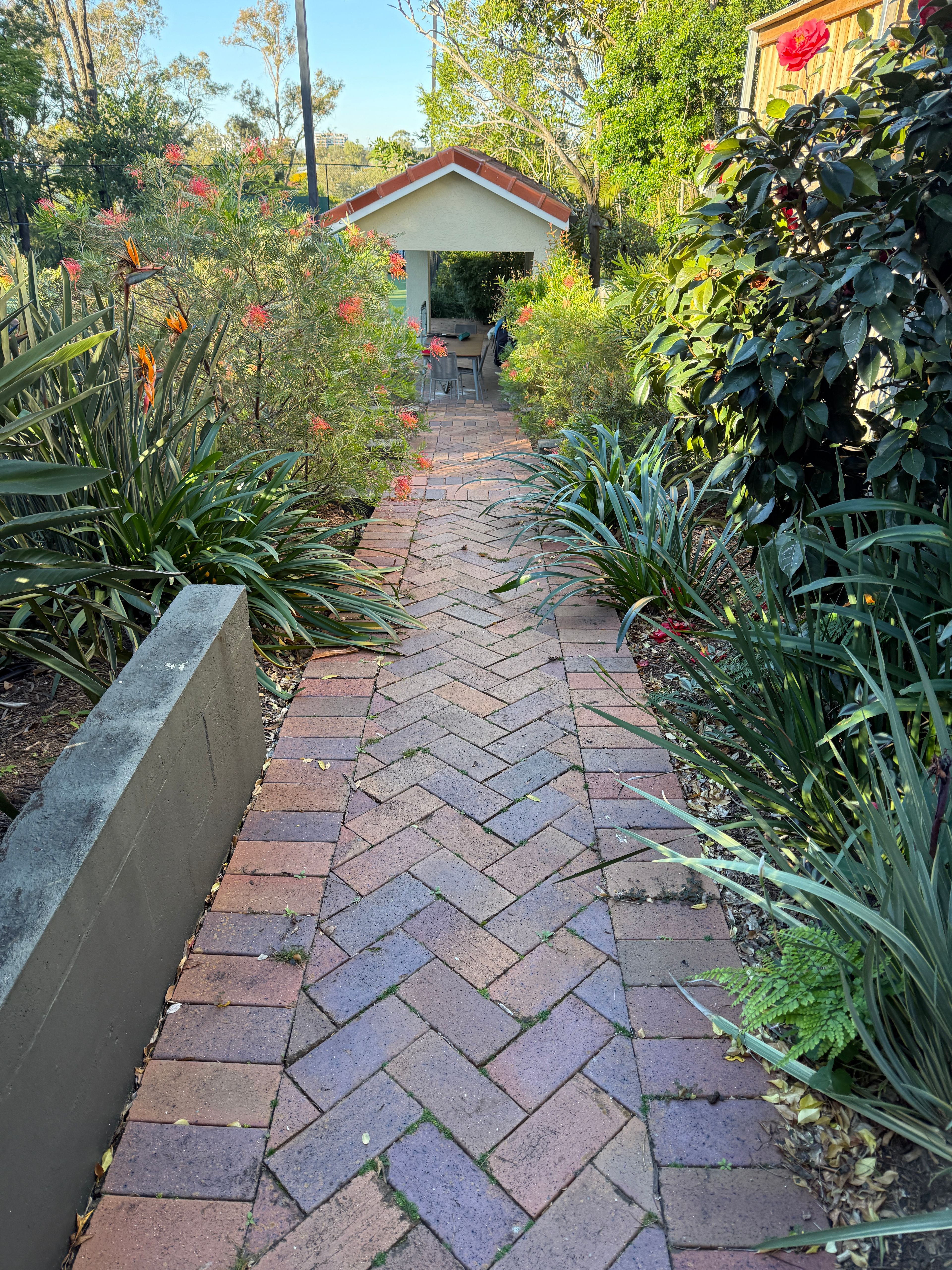 image-17