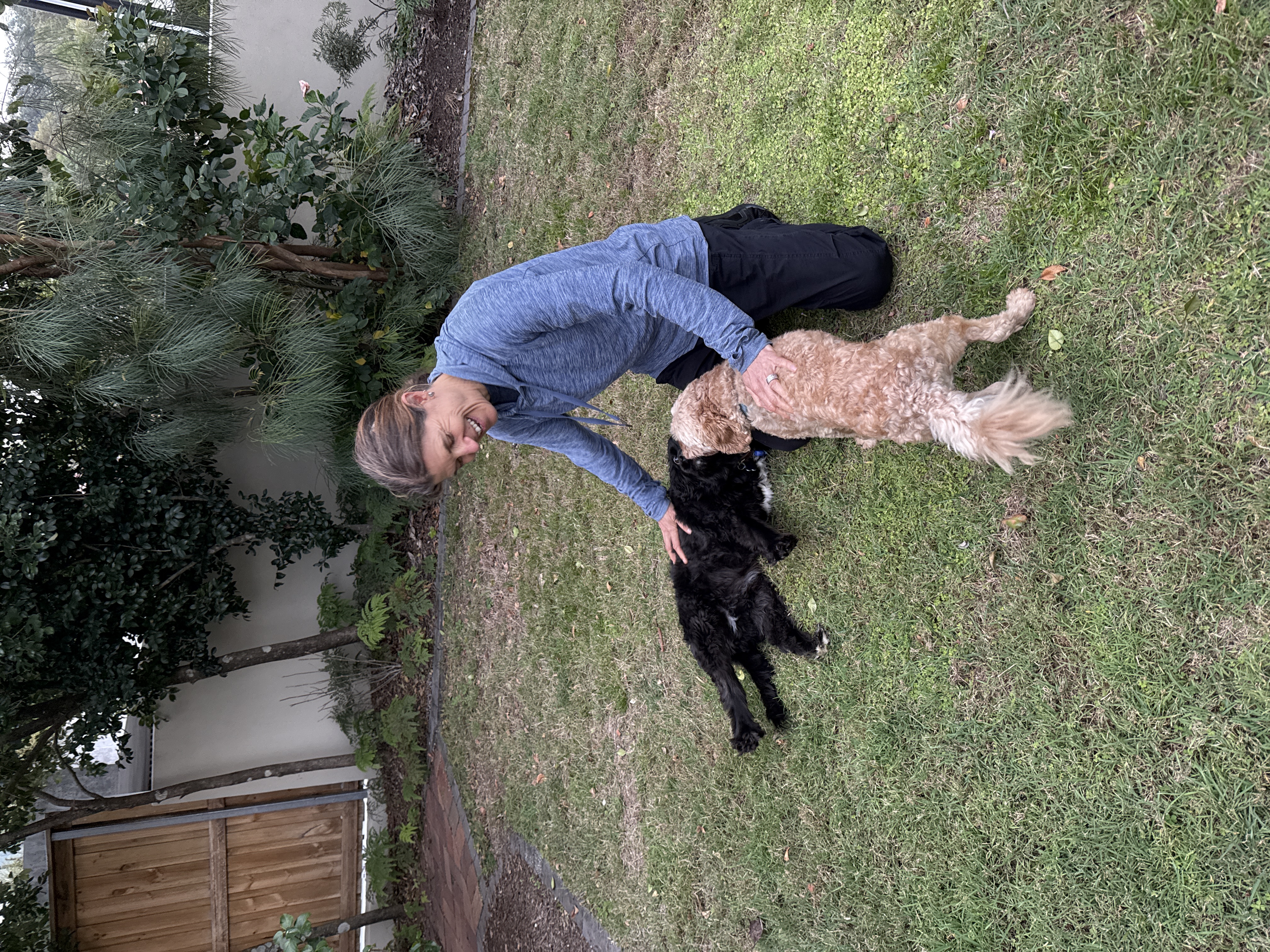 image-6
