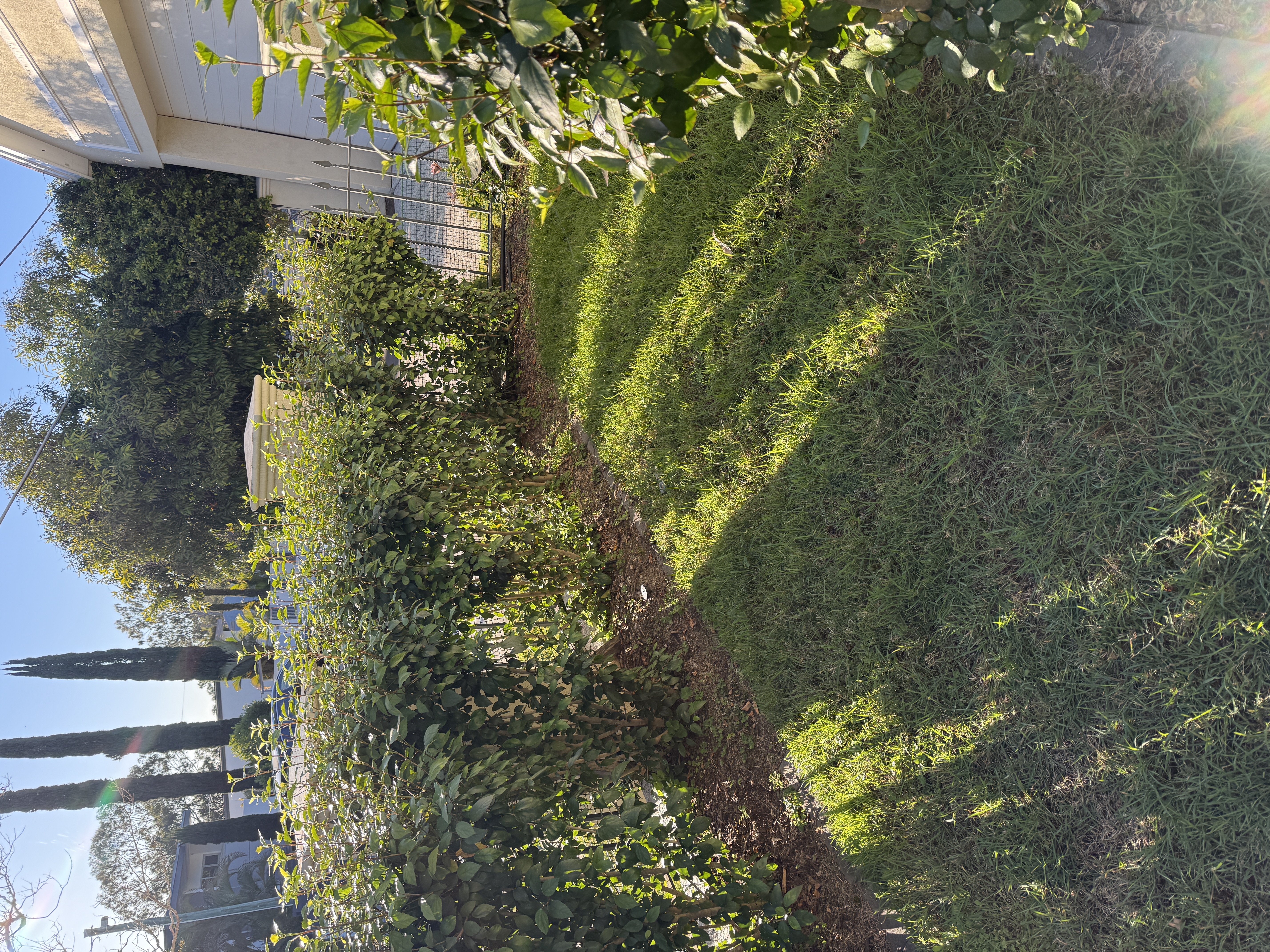 image-16